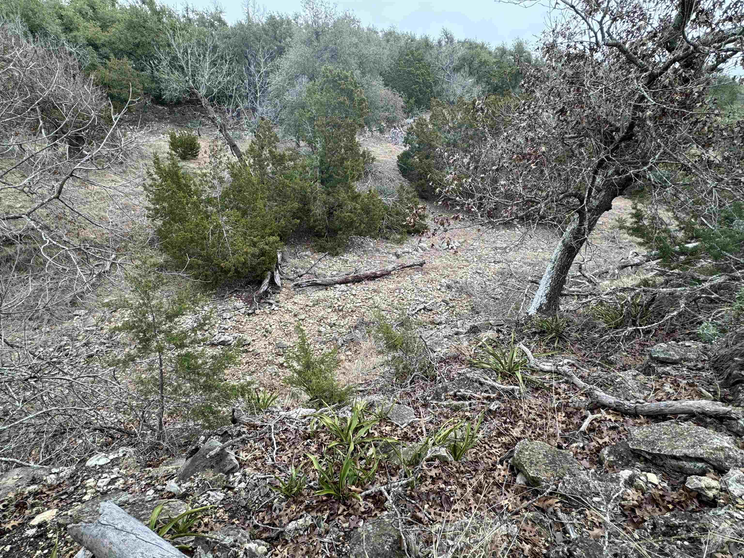 1501 Ahrens-Crenwelge Rd Road