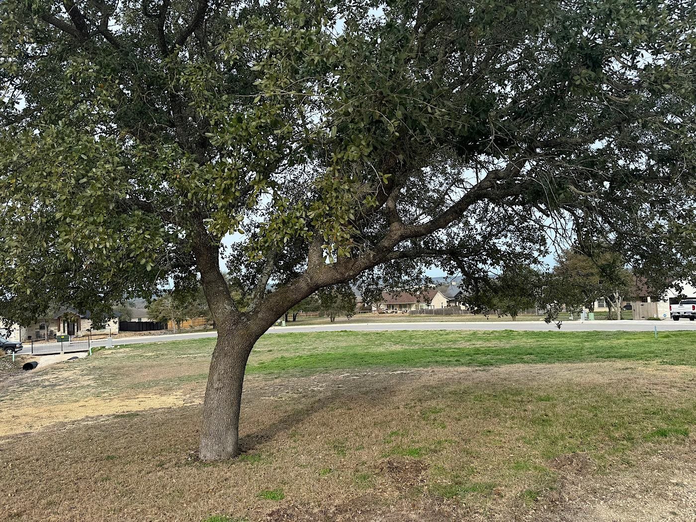LOT 13 Colby Canyon Drive