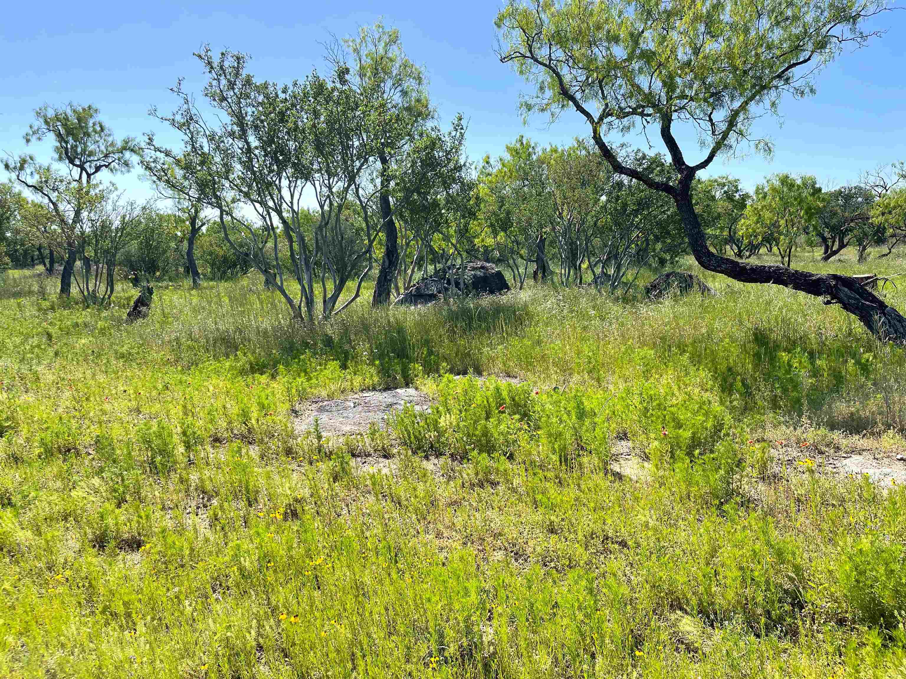 TBD River Park Dr