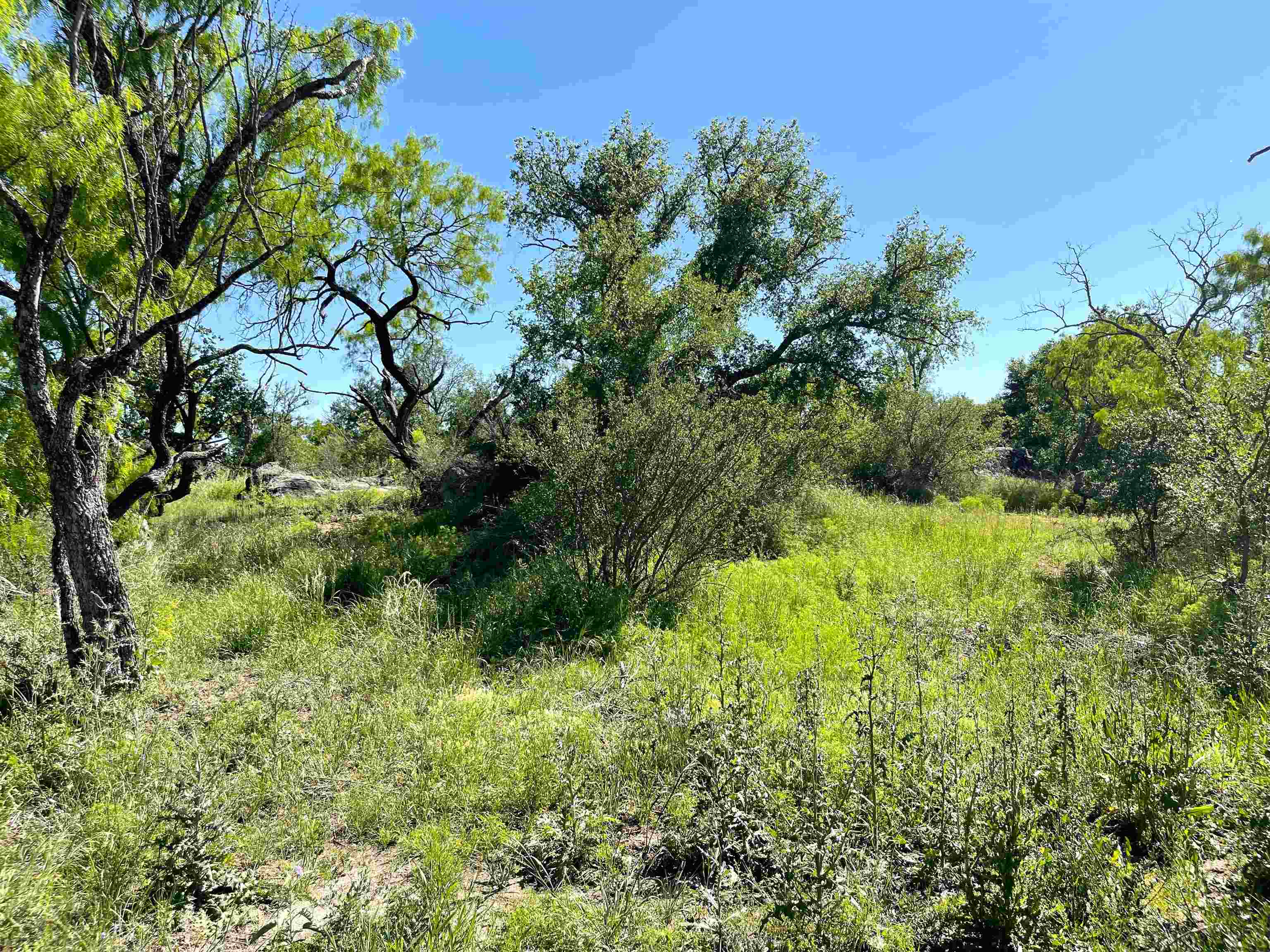 TBD River Park Dr