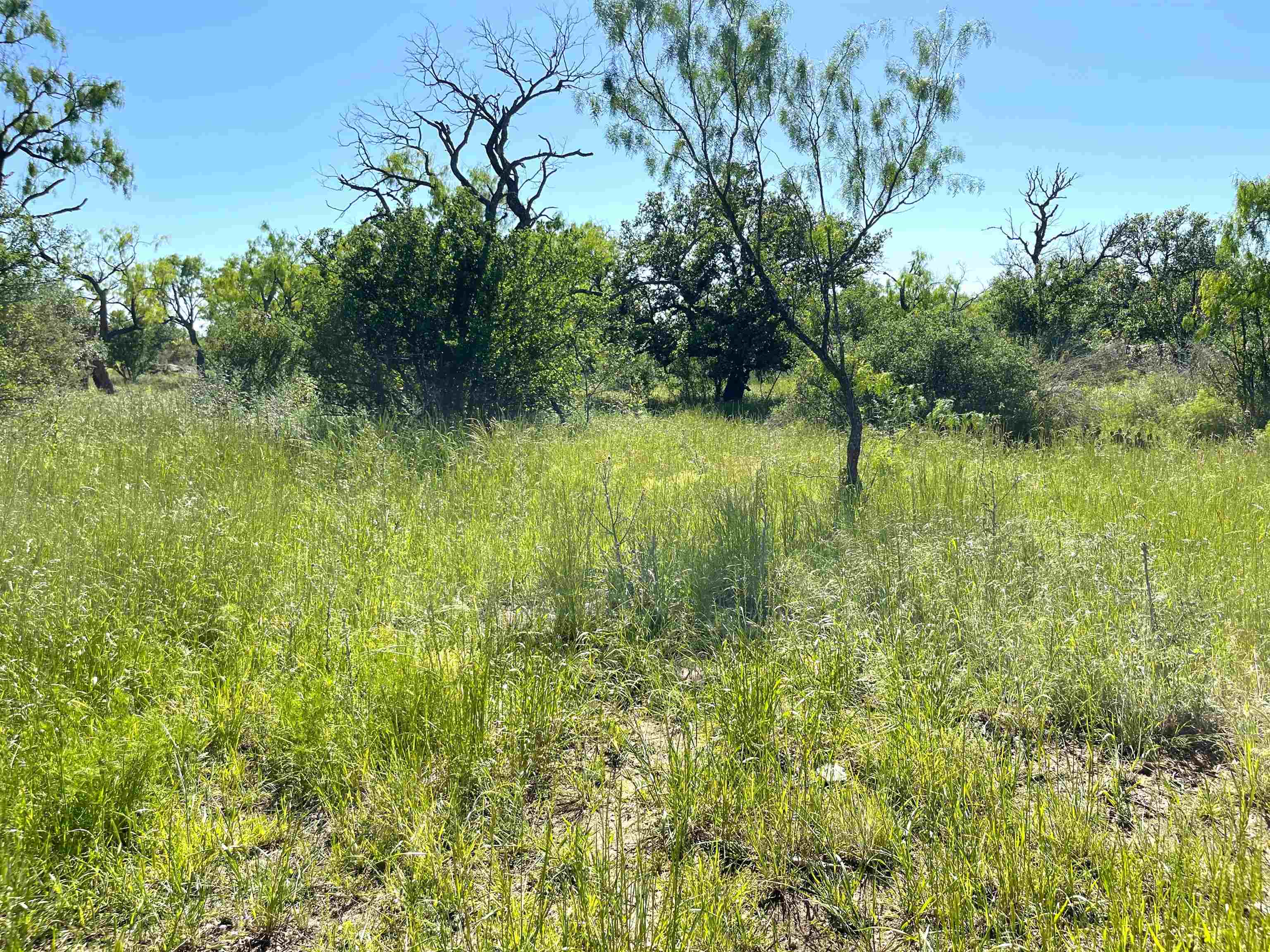 TBD River Park Dr