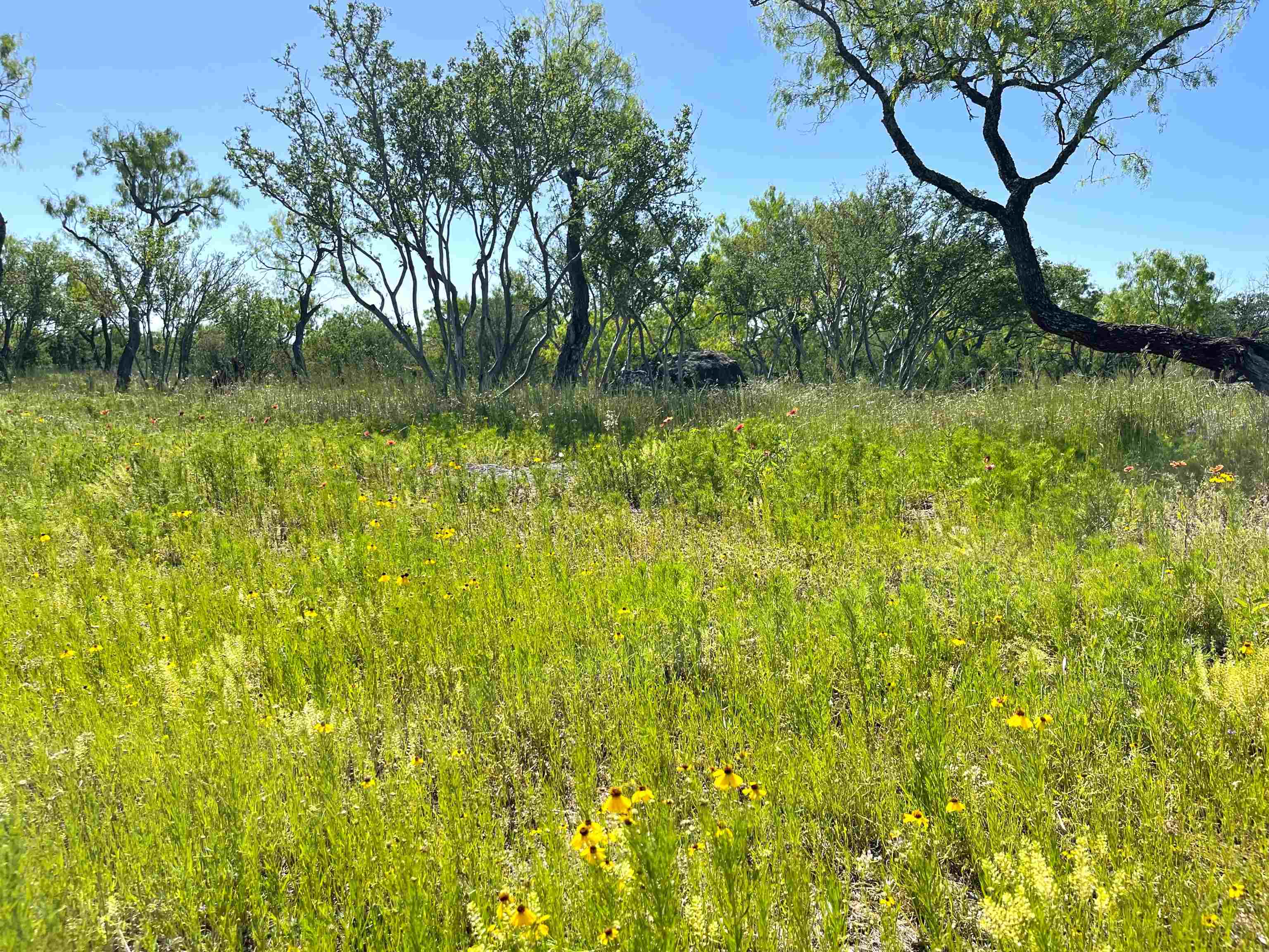 TBD River Park Dr