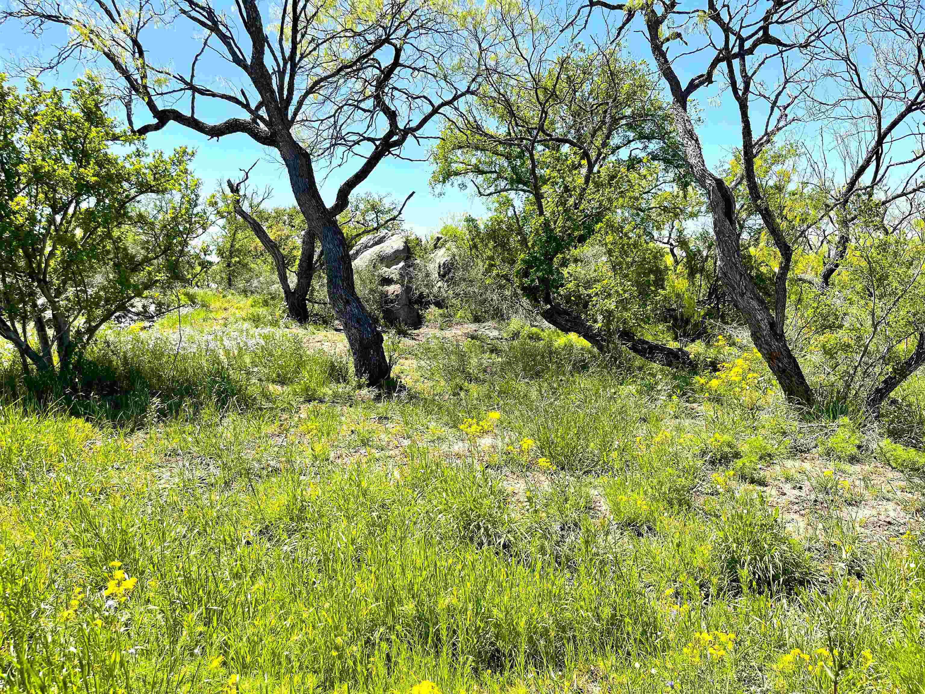 TBD River Park Dr