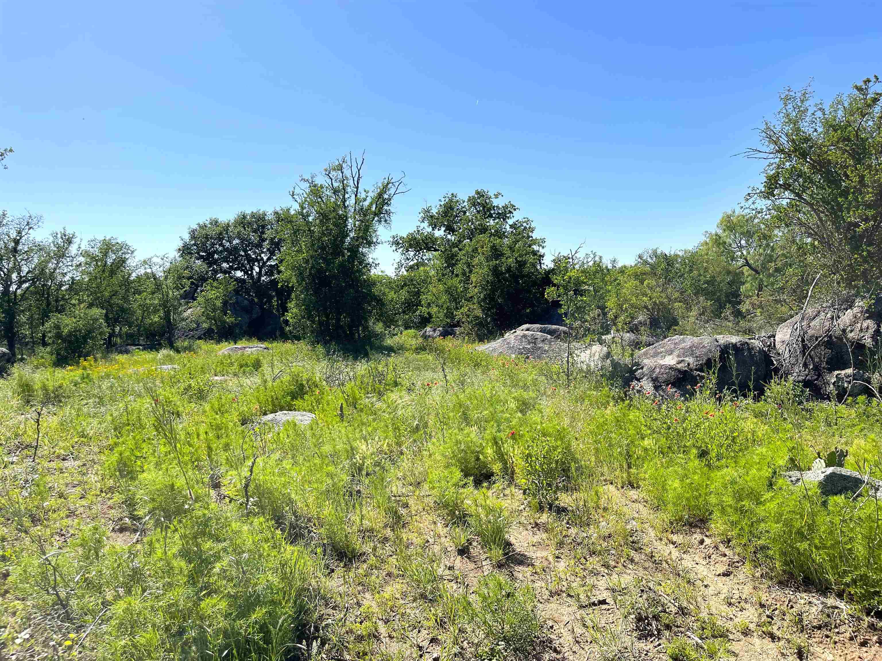 TBD River Park Dr