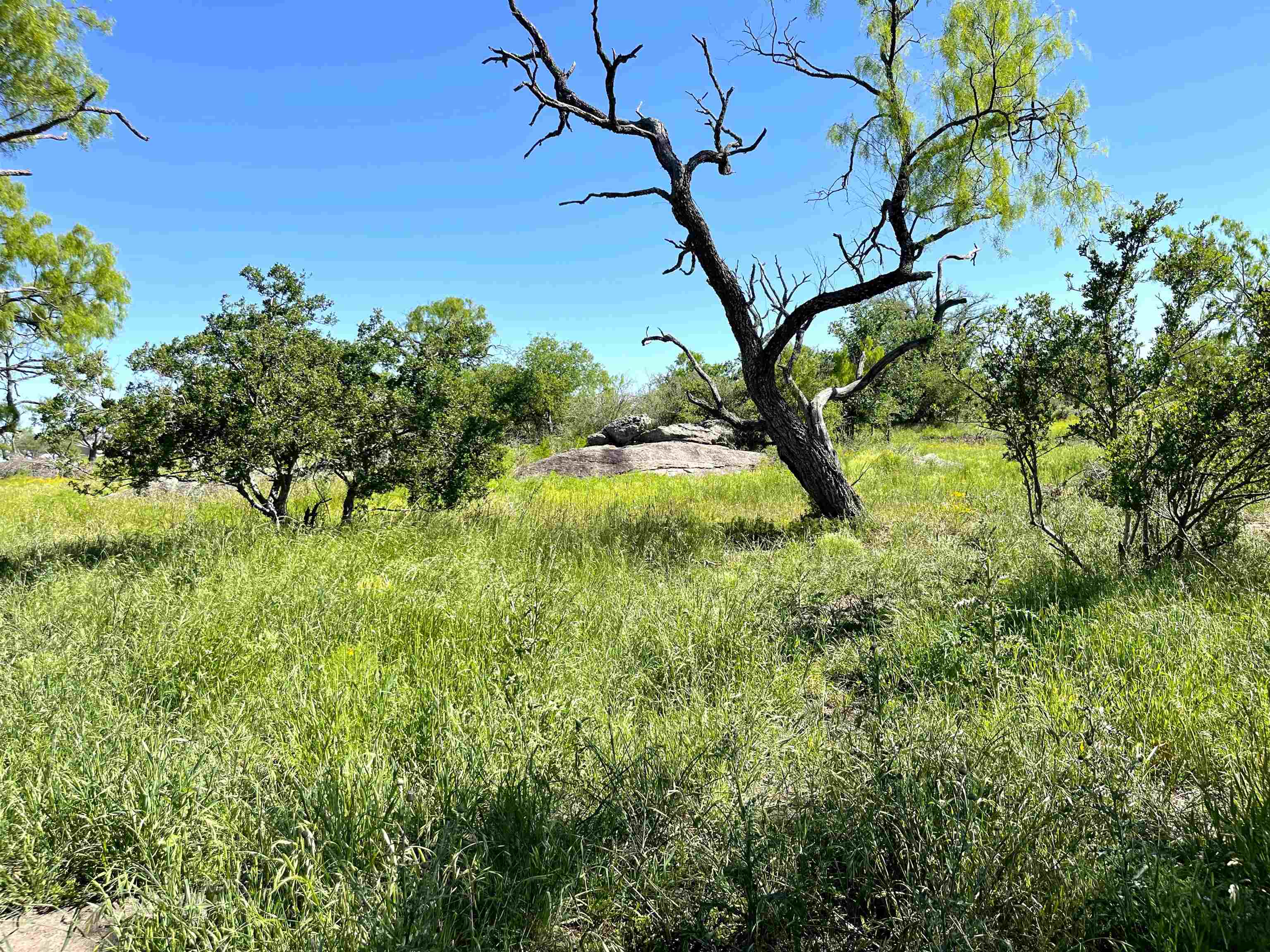 TBD River Park Dr