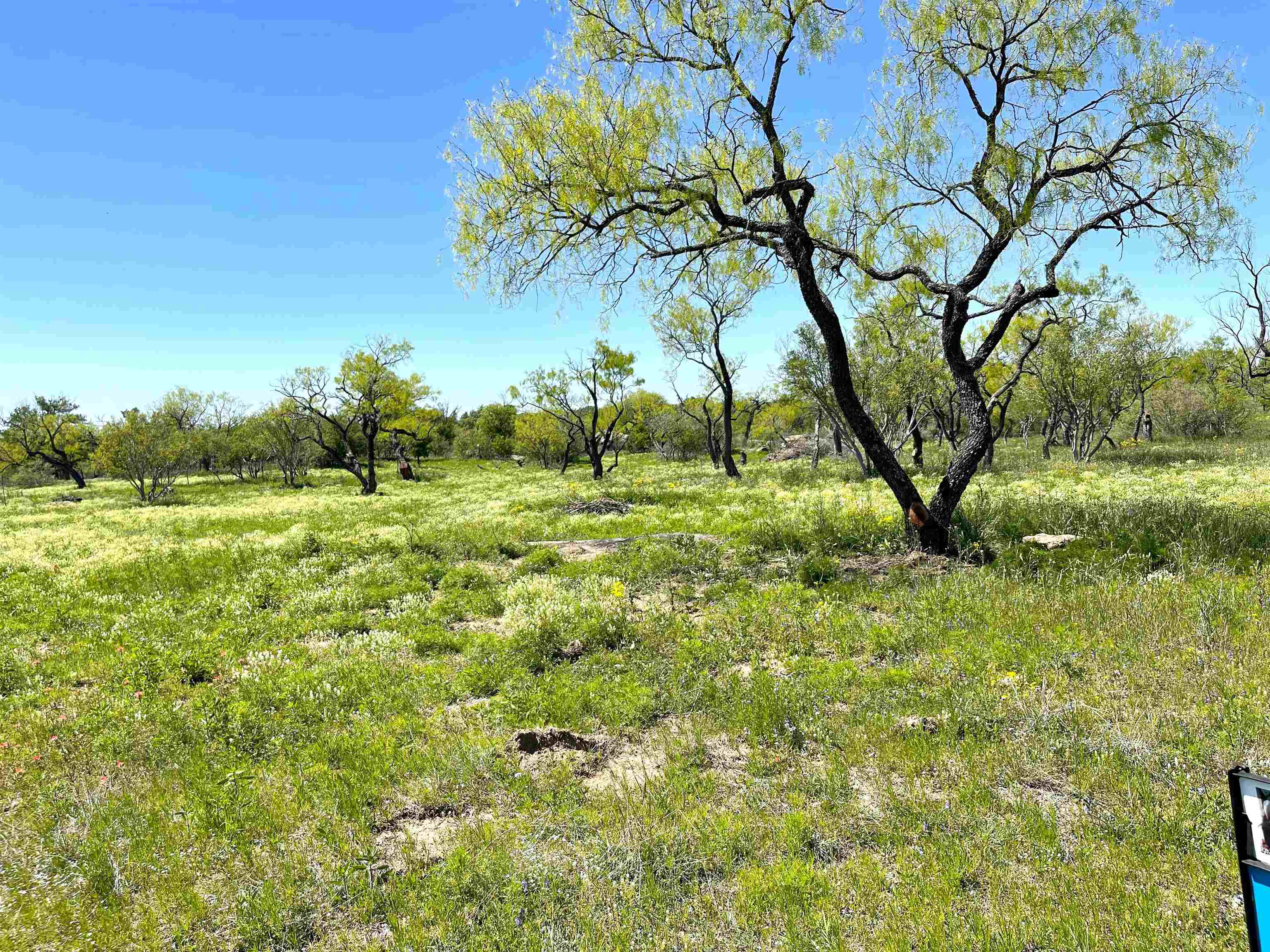 TBD River Park Dr