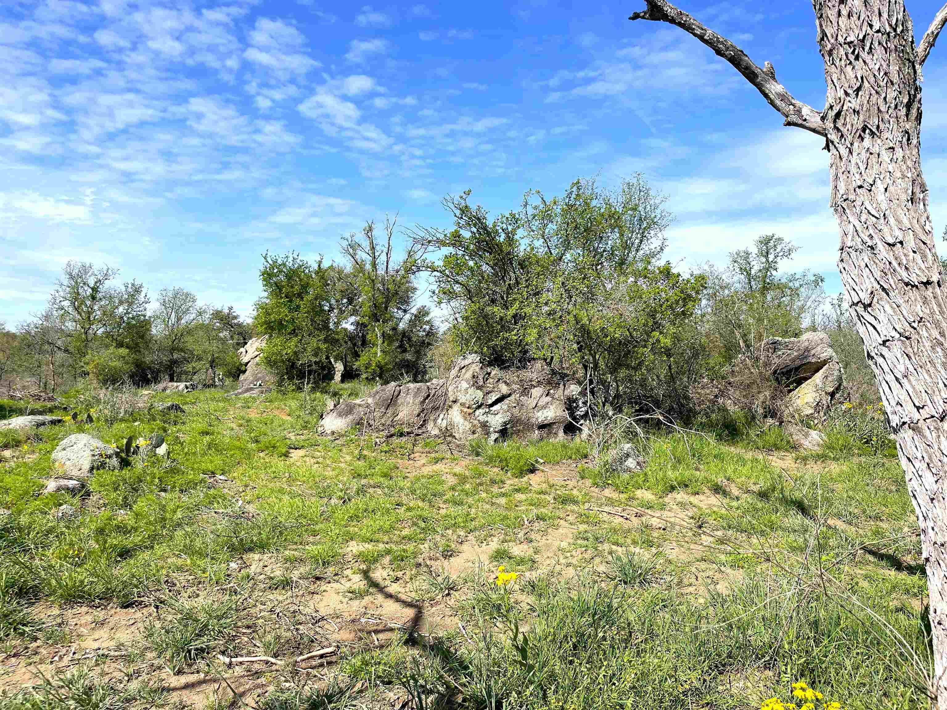 TBD River Park Dr