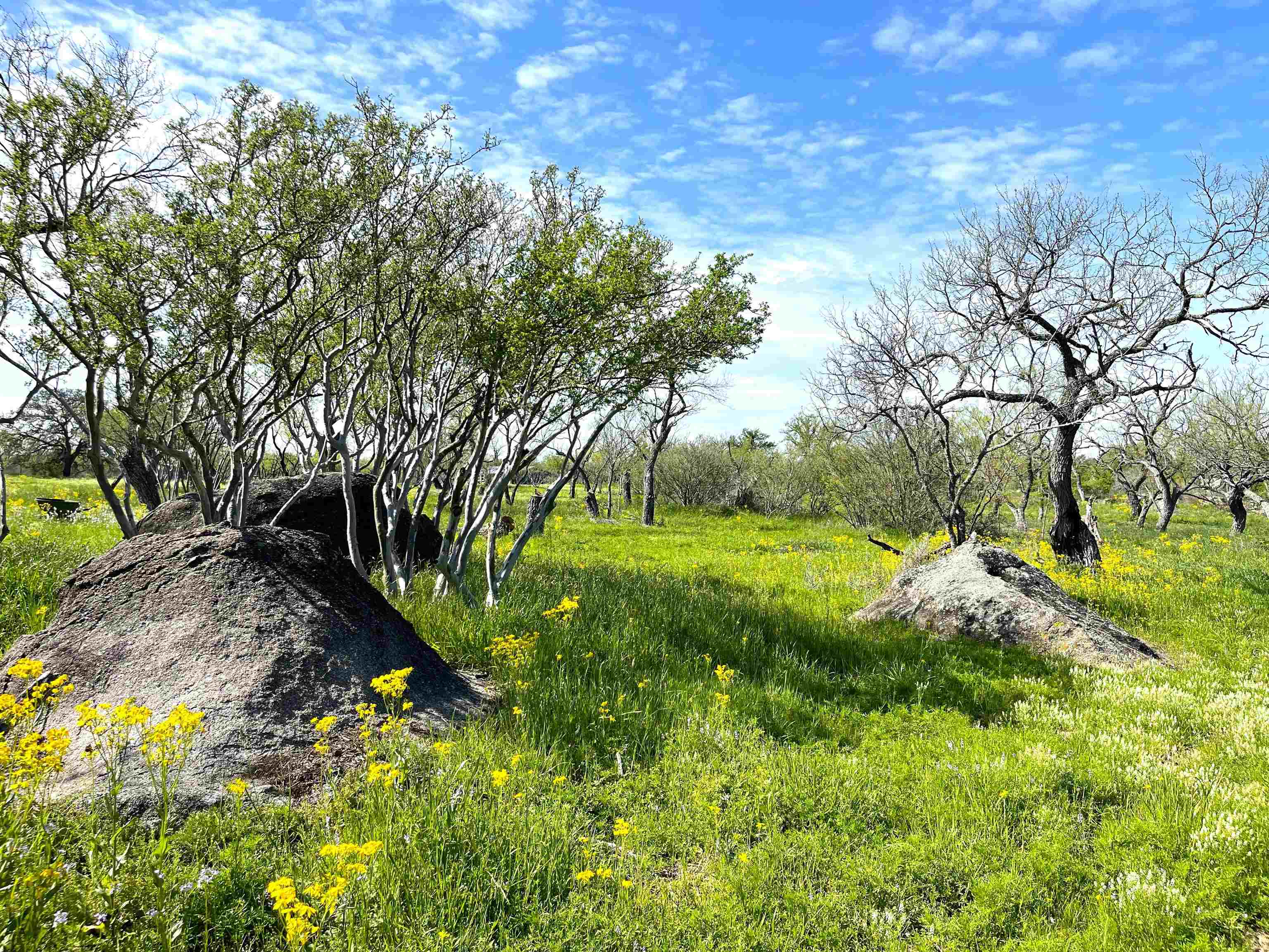 TBD River Park Dr