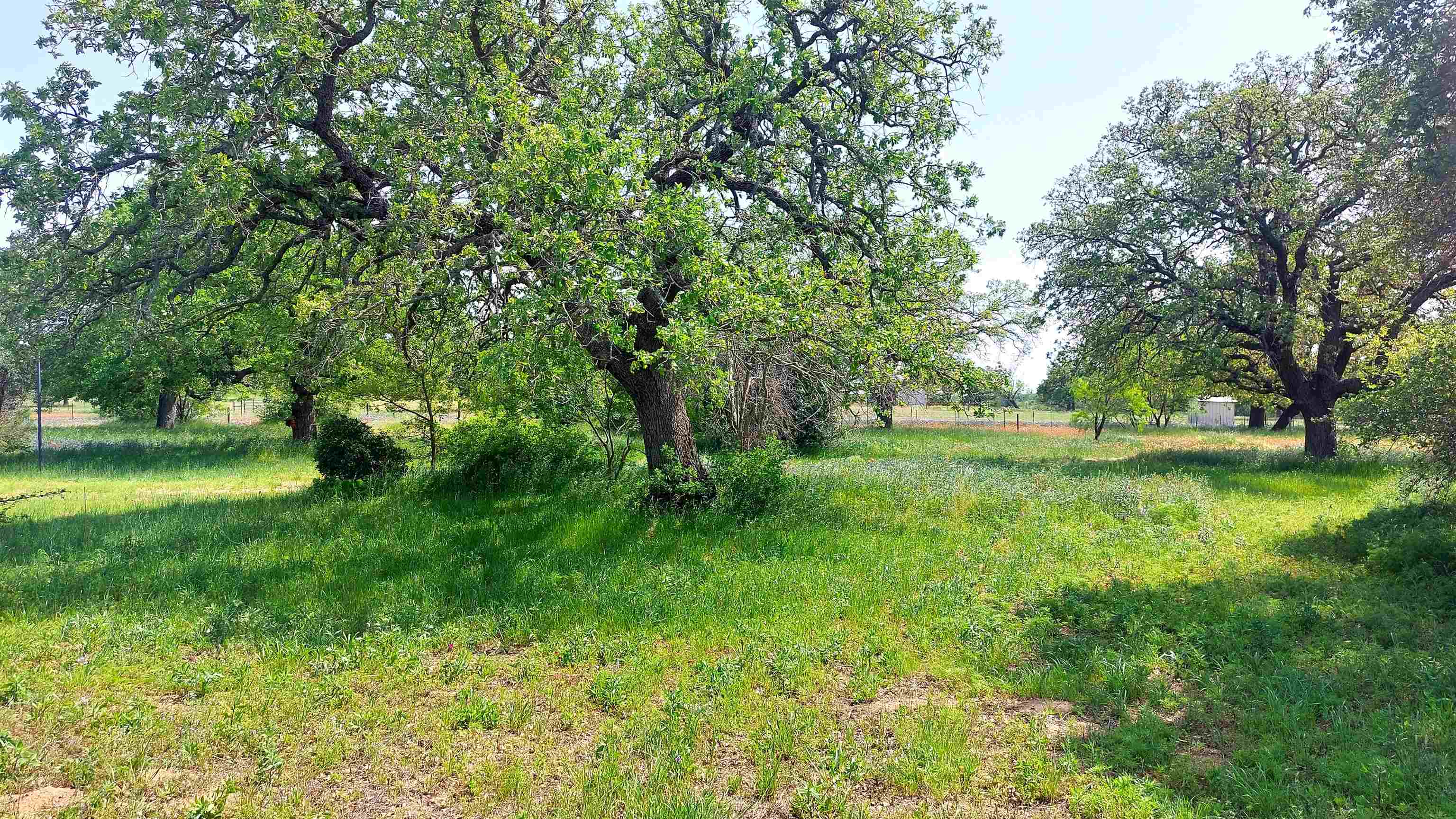 107 Buffalo Spring Circle