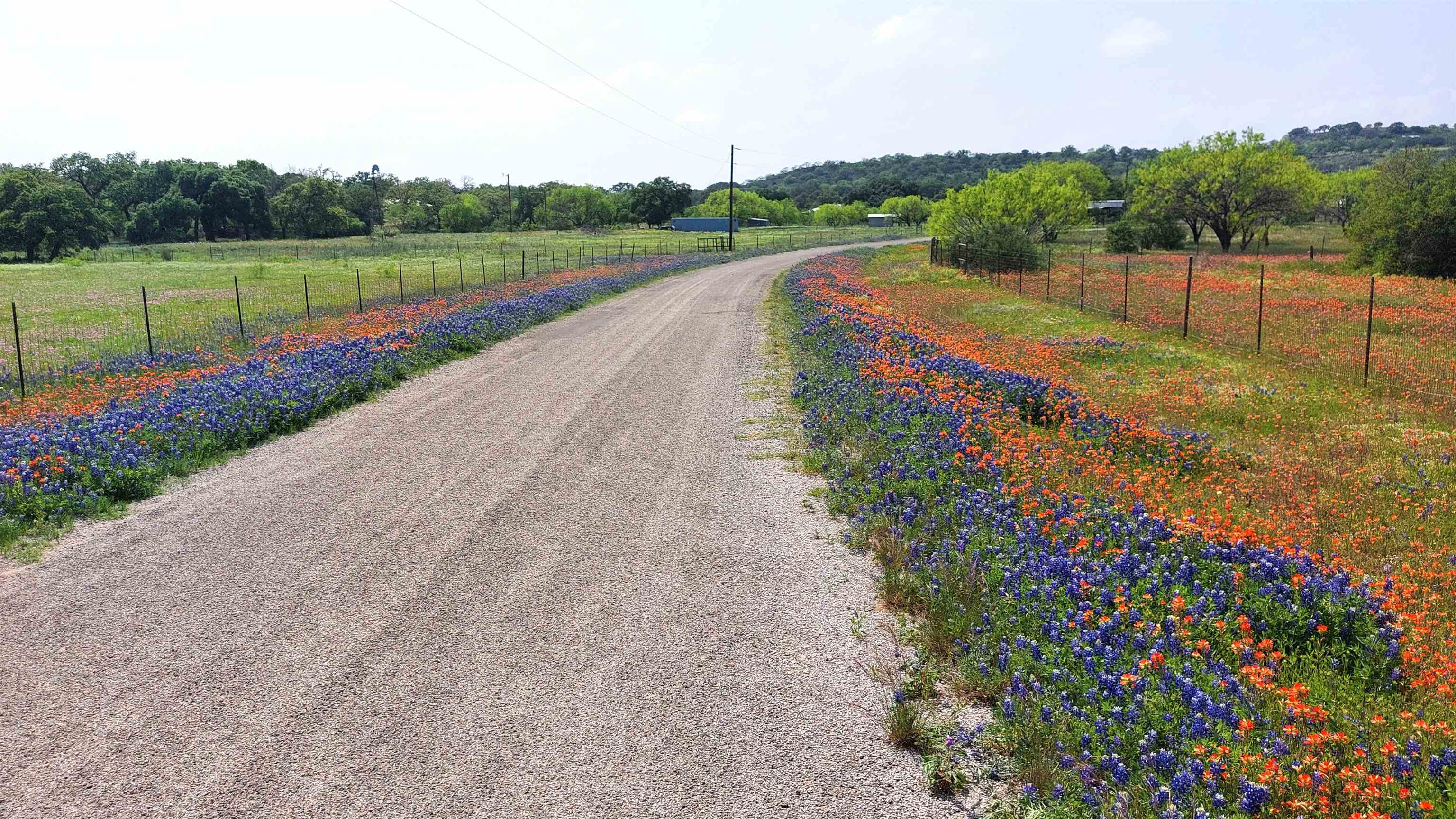 107 Buffalo Spring Circle