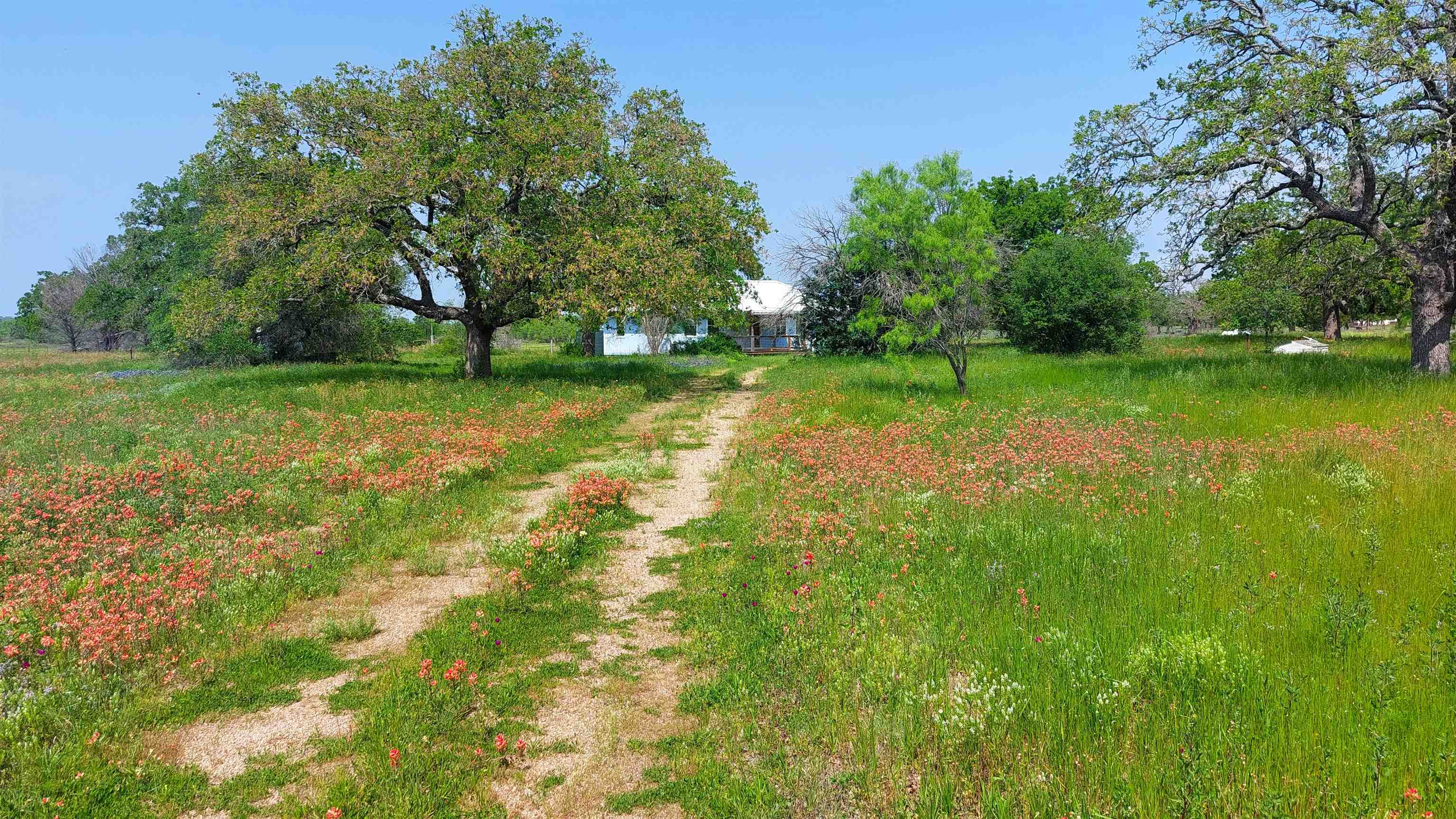 107 Buffalo Spring Circle