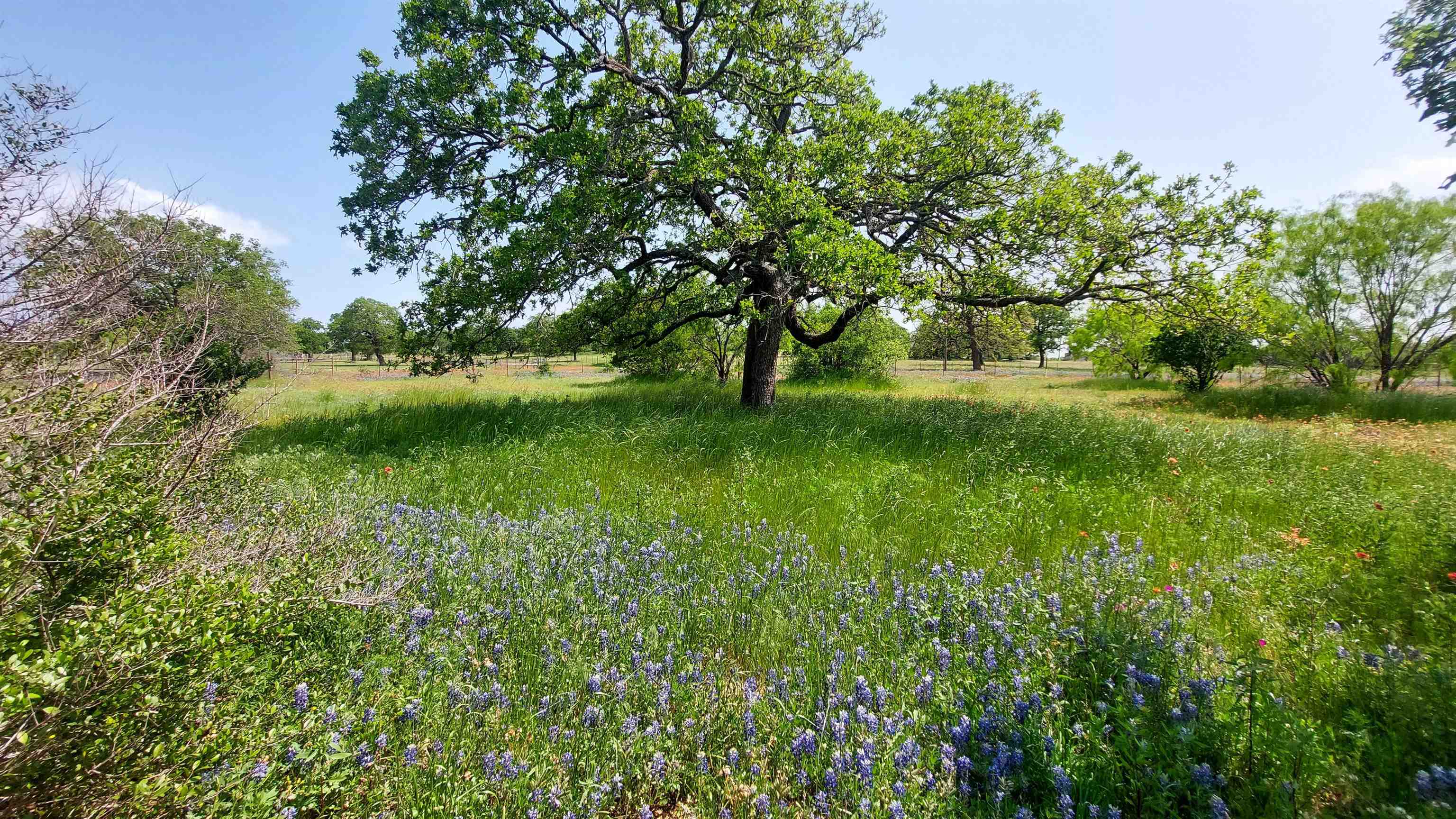 107 Buffalo Spring Circle