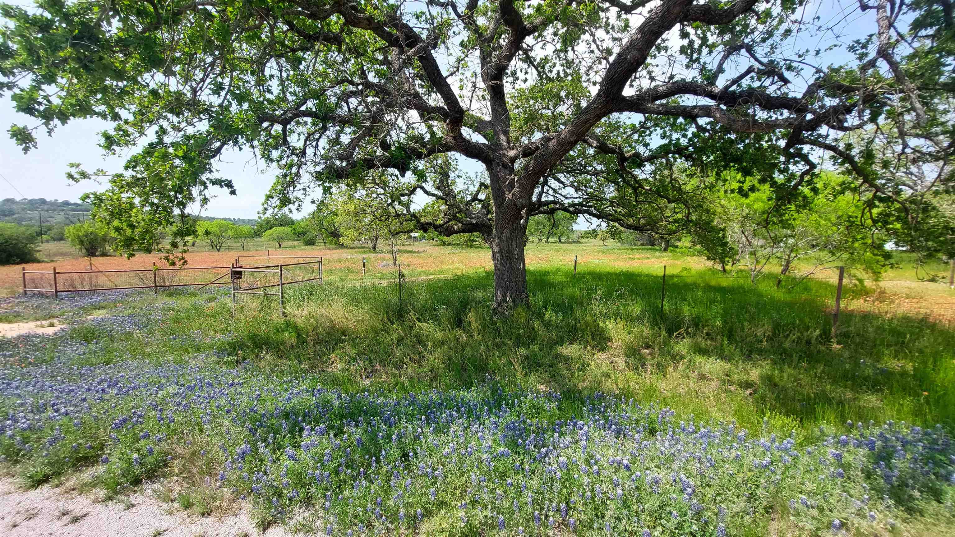 107 Buffalo Spring Circle