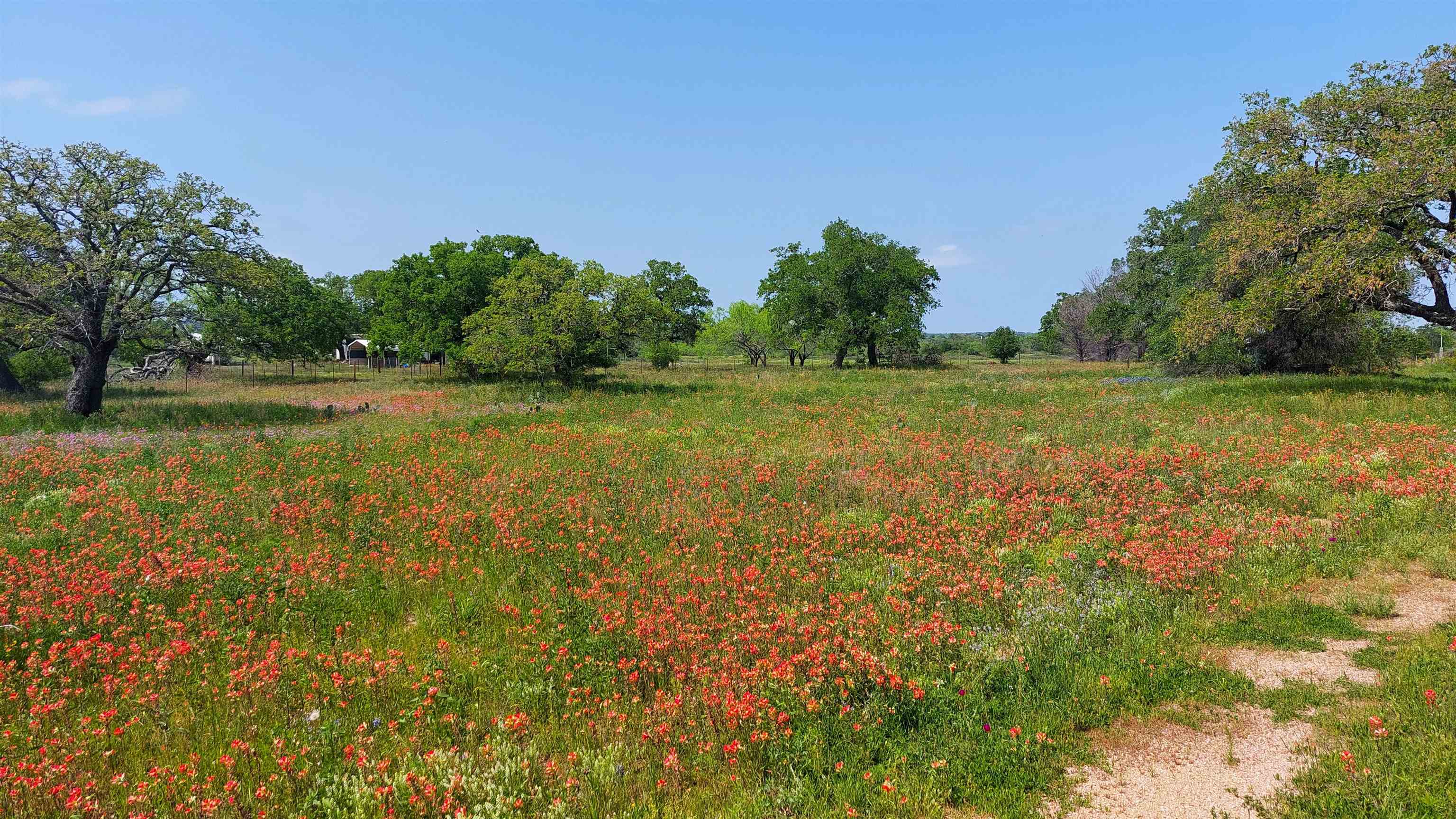 107 Buffalo Spring Circle