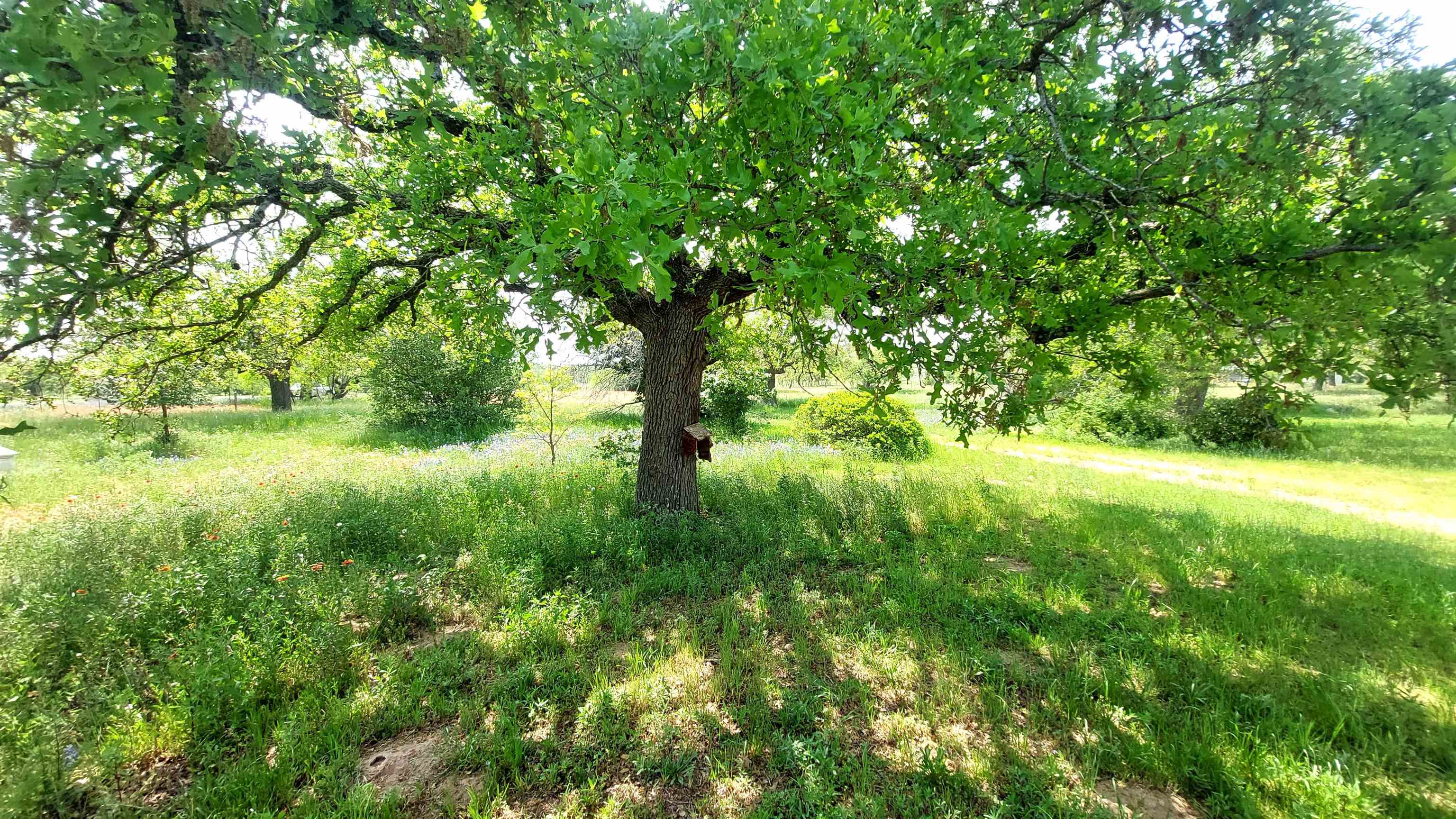 107 Buffalo Spring Circle