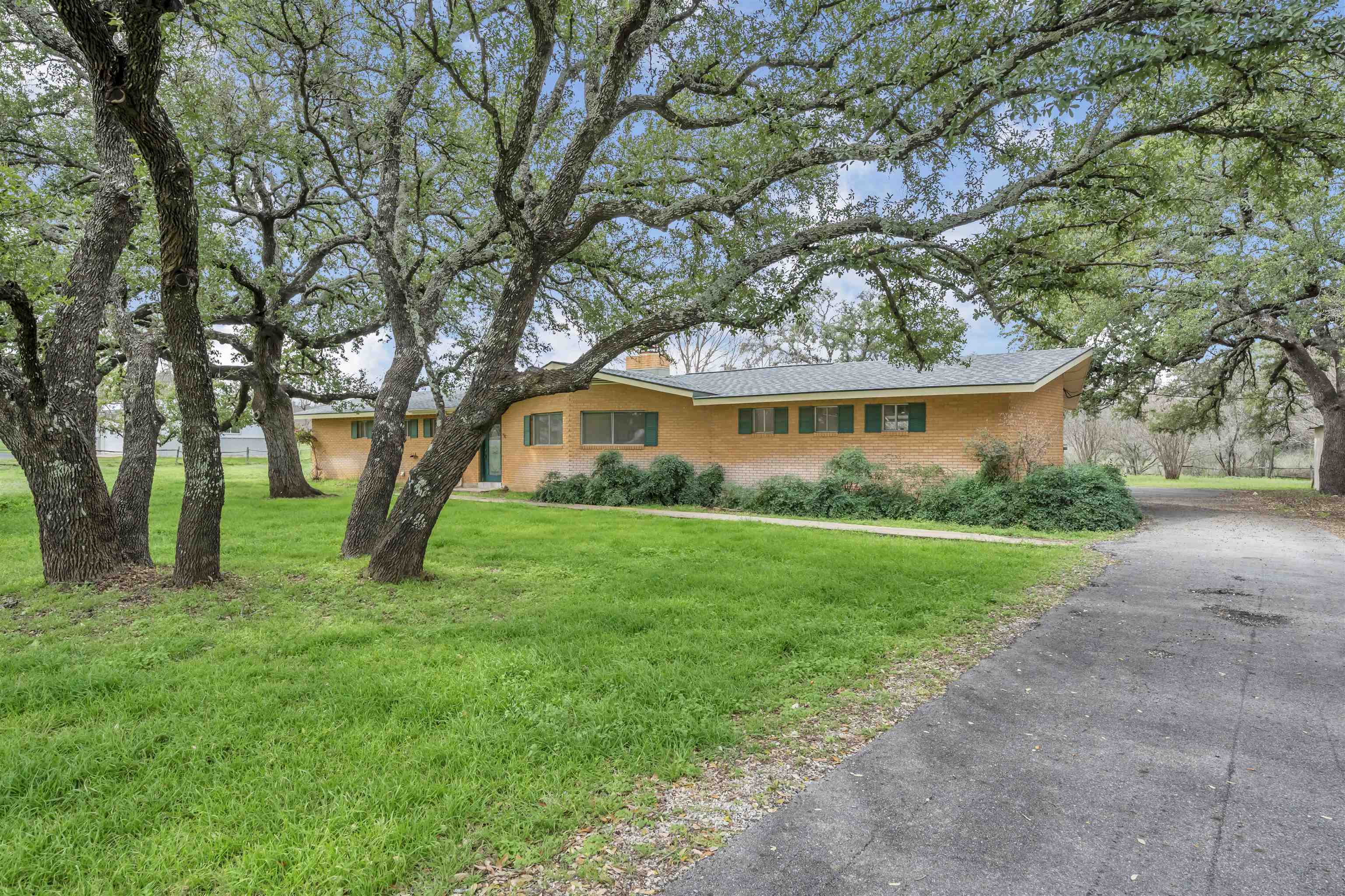 113 Live Oak Dr.