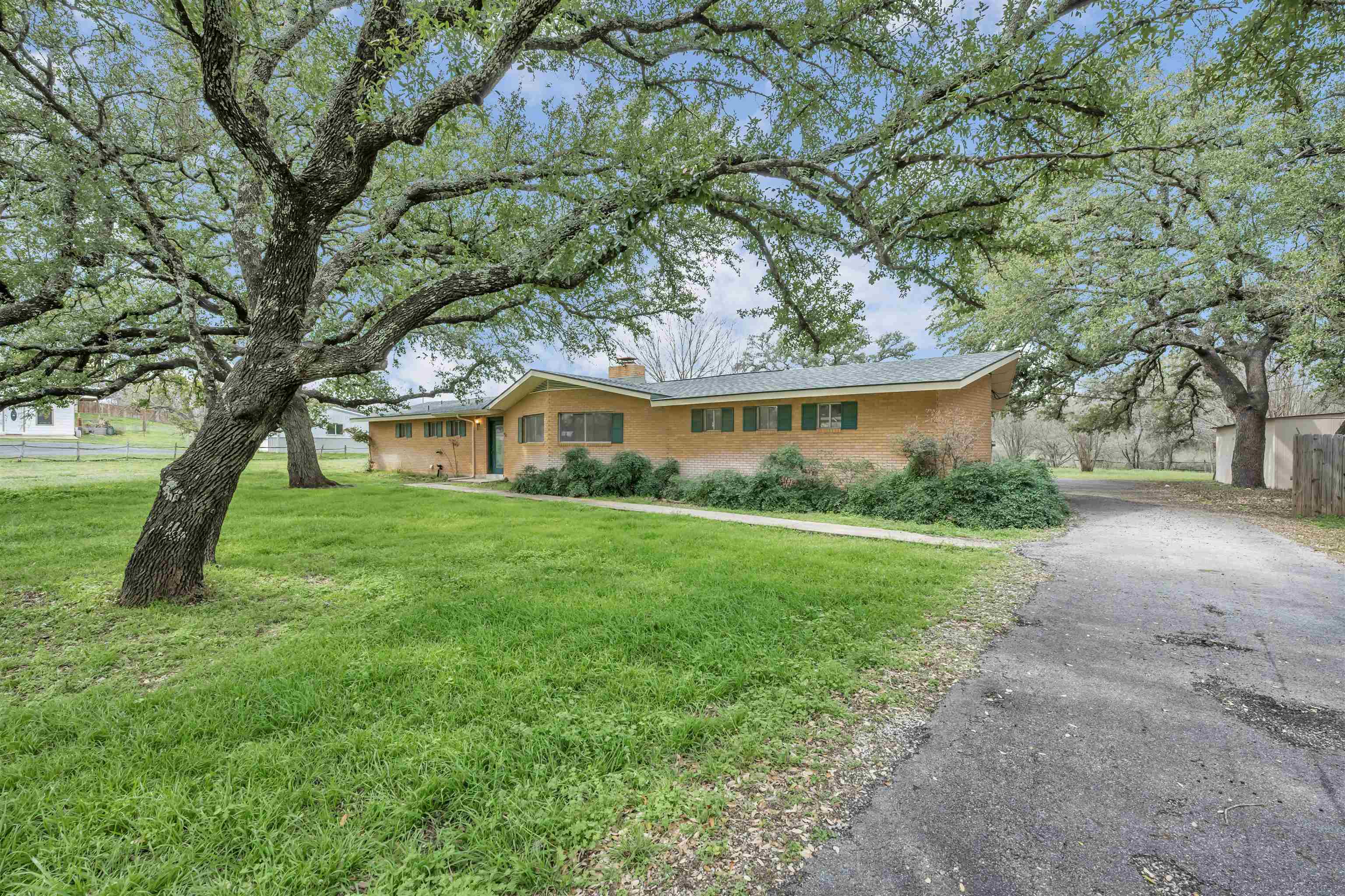 113 Live Oak Dr.