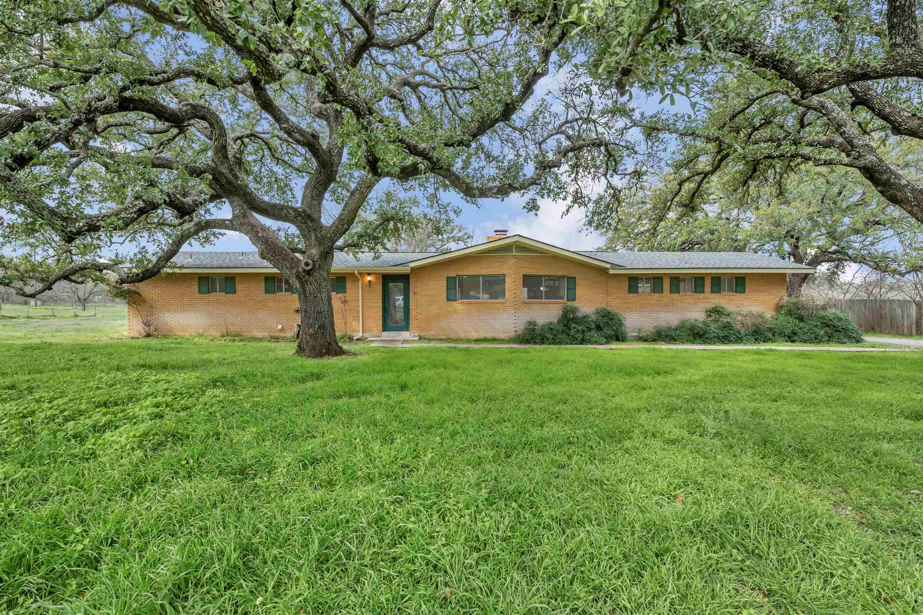 113 Live Oak Dr.