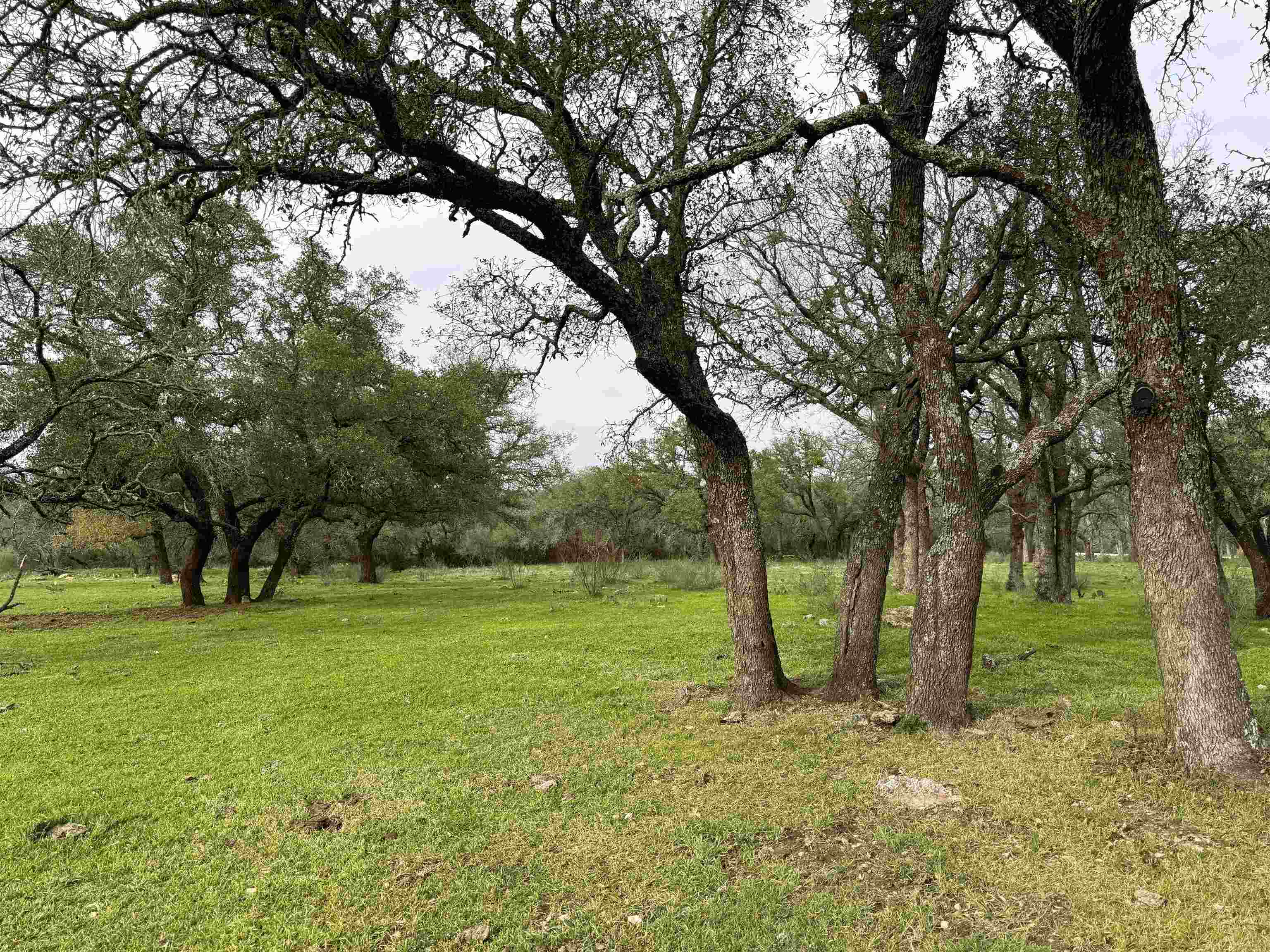 000 Rocky Hollow, Lot 100