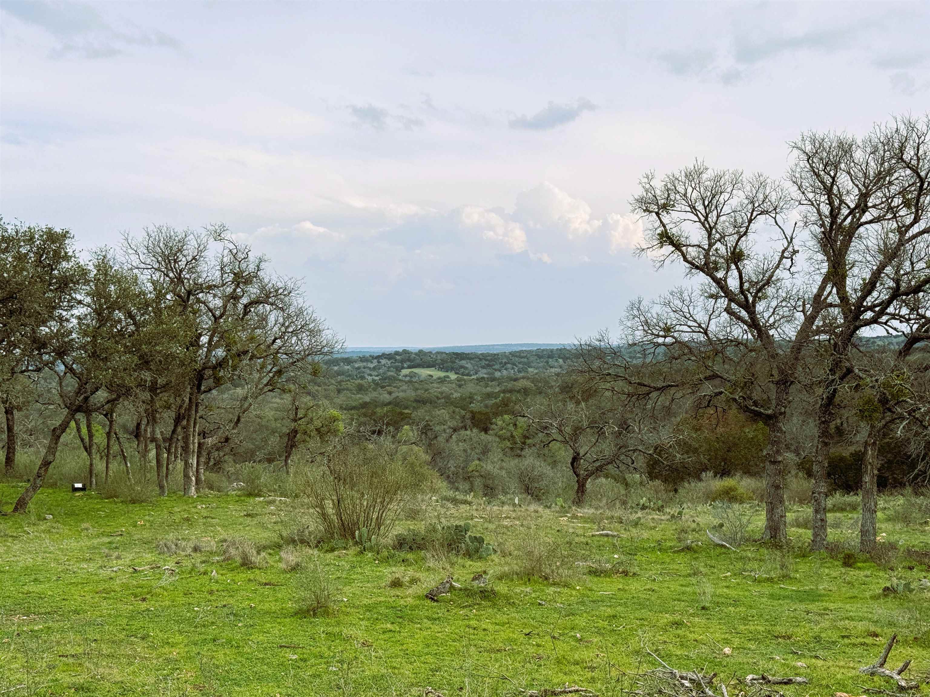 000 Rocky Hollow, Lot 100