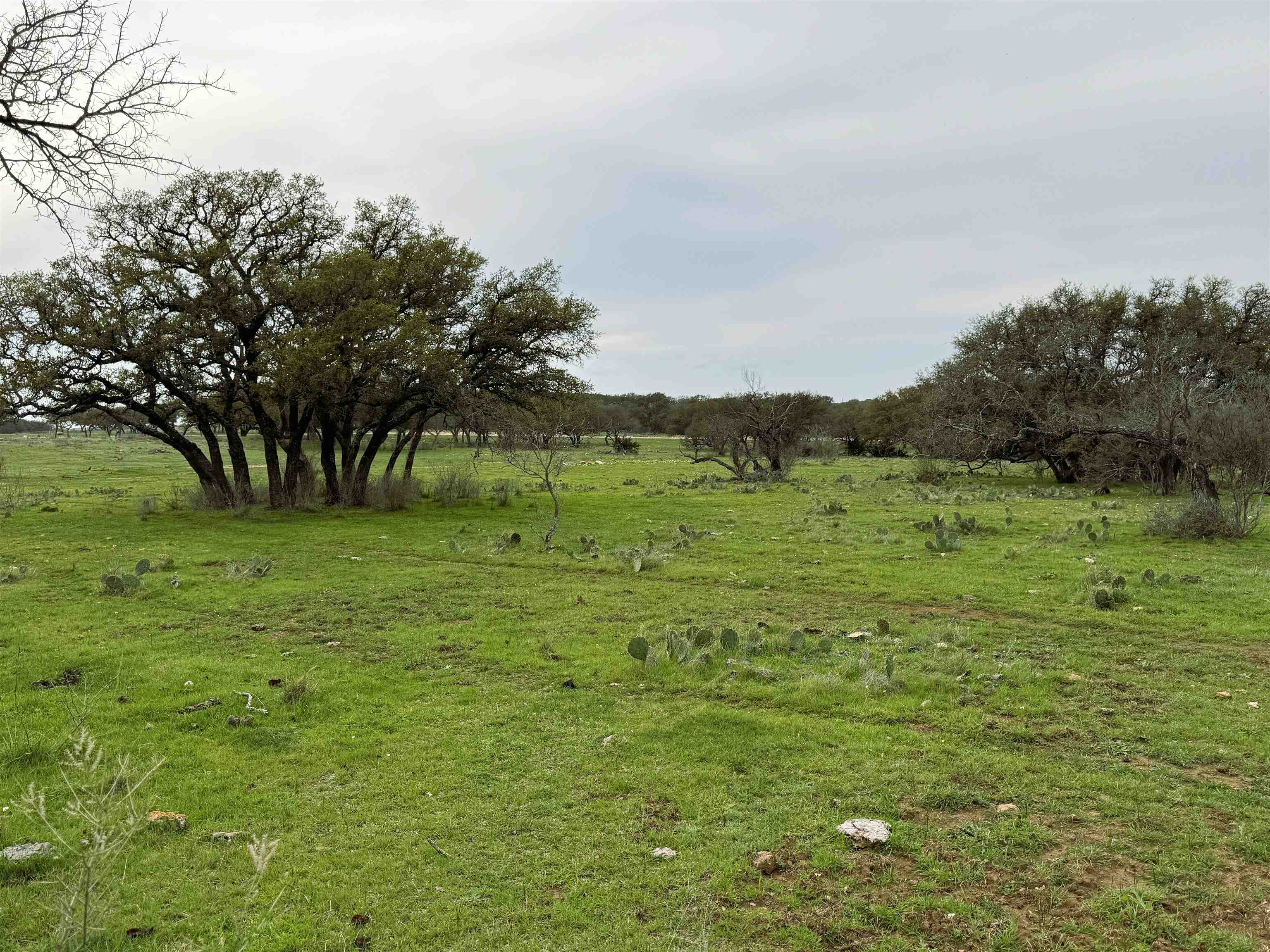 000 Rocky Hollow, Lot 100