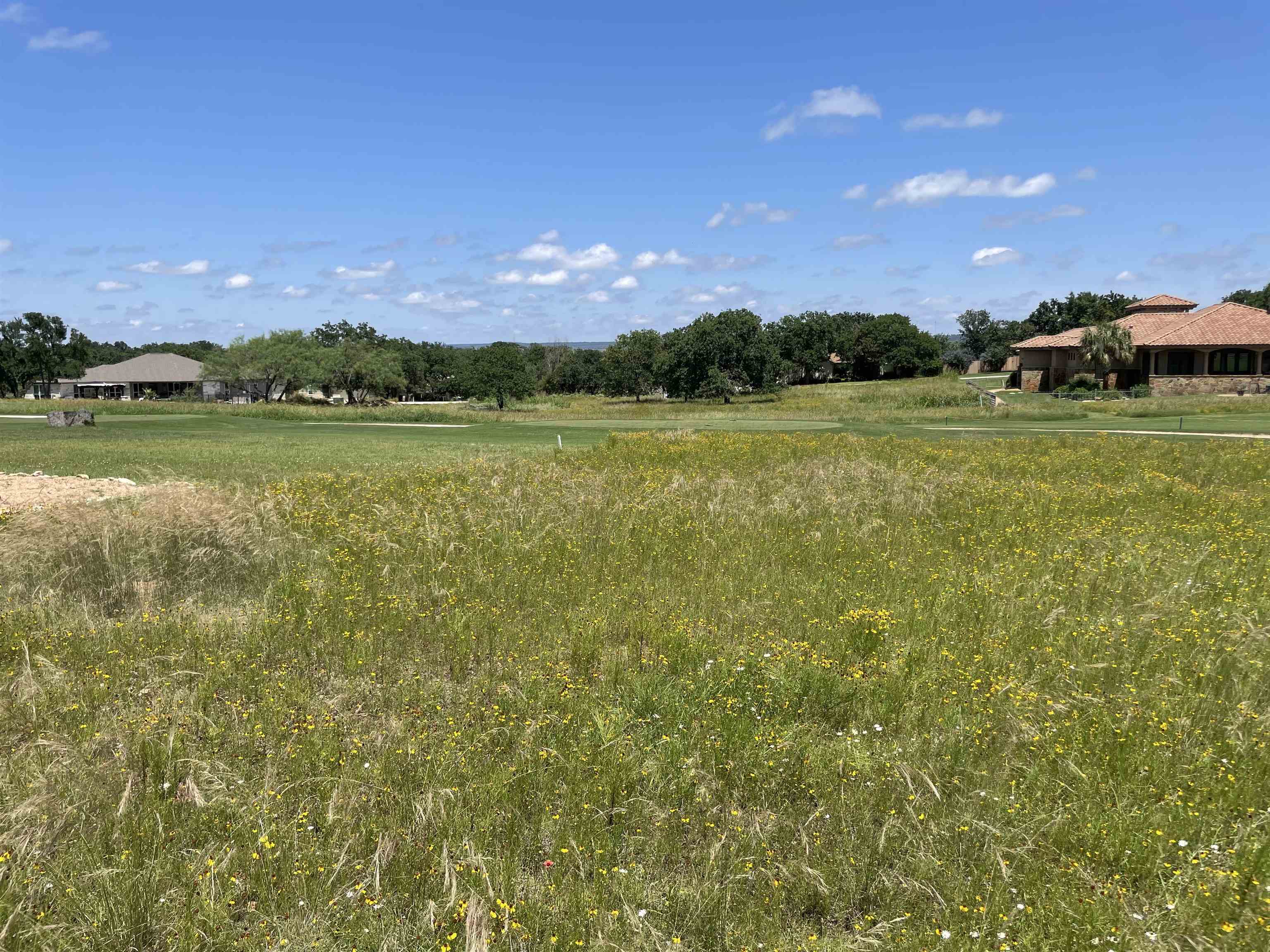 TBD Olympia Hills Court