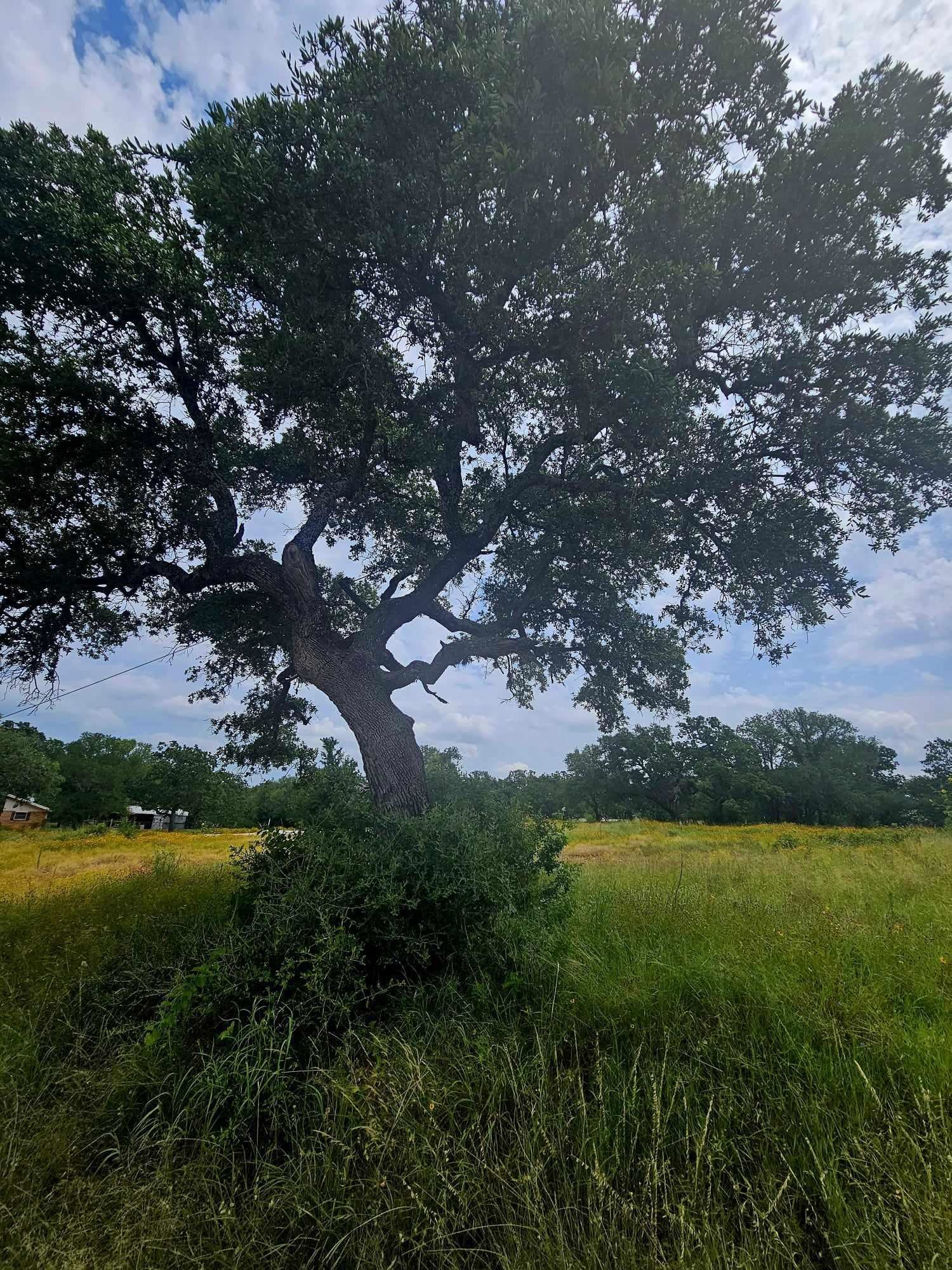 Lot 18 Timberidge Drive