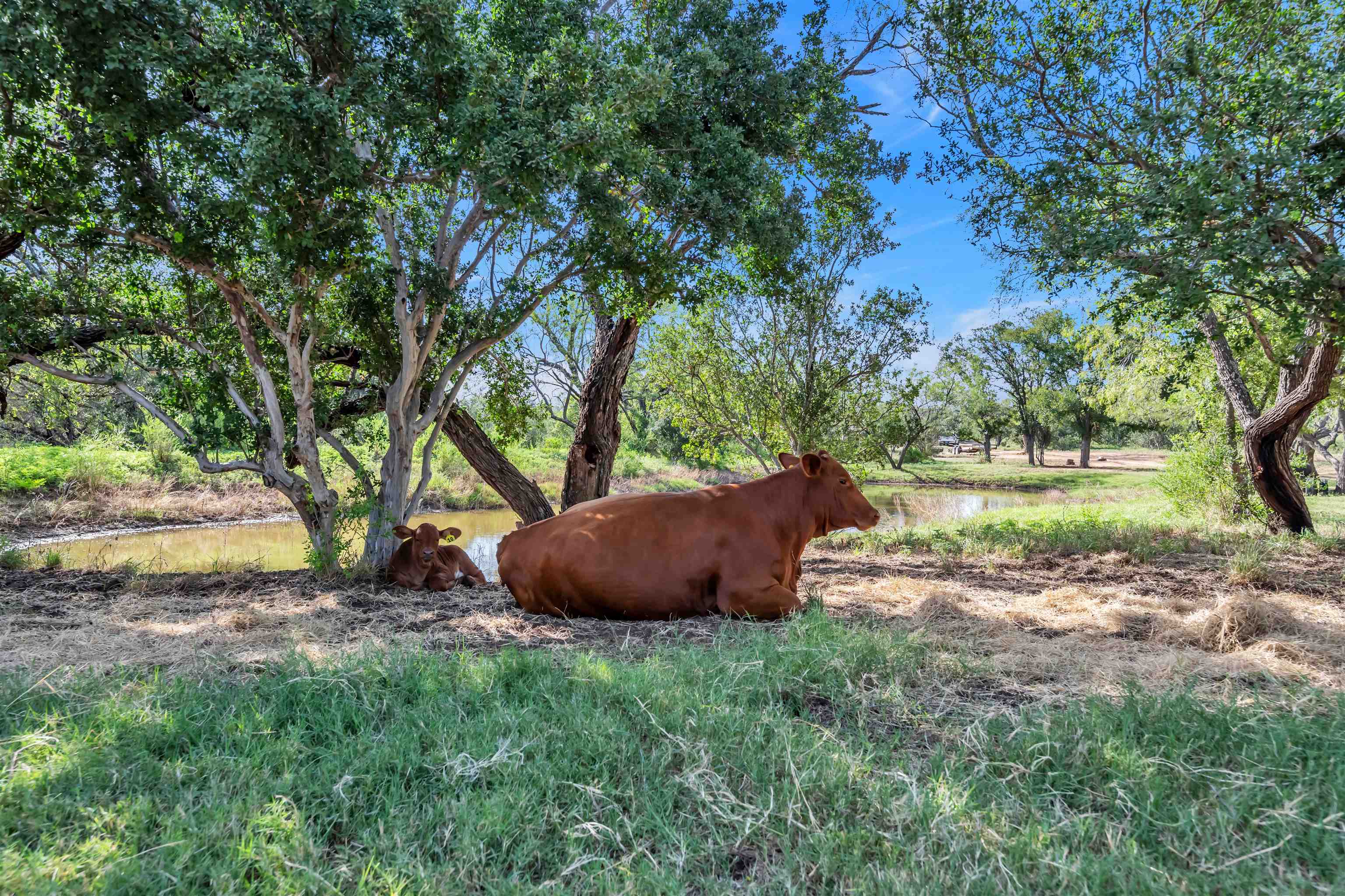 8709 County Road 216A