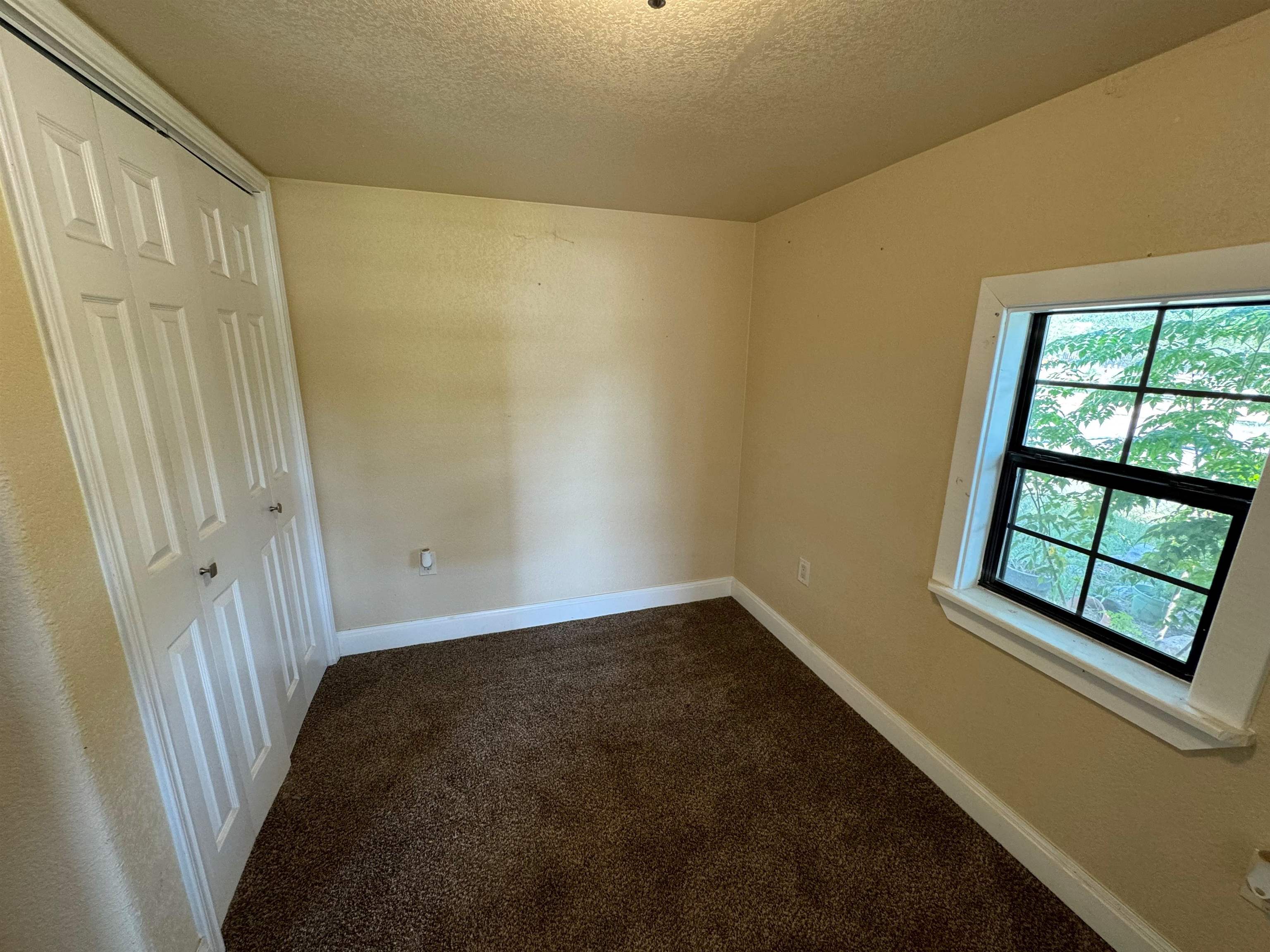 124 E Bluebriar Drive