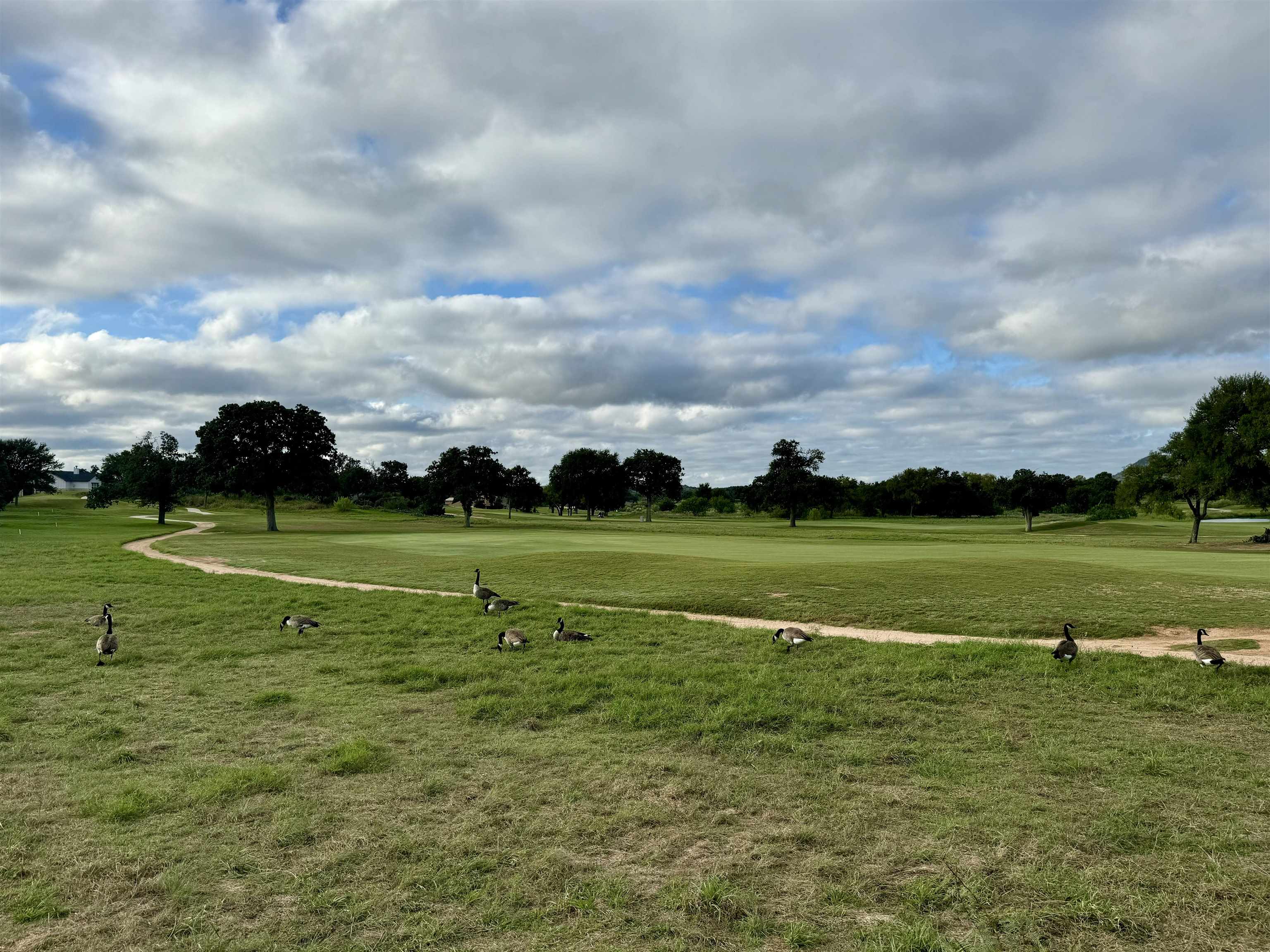 TBD Herons Landing
