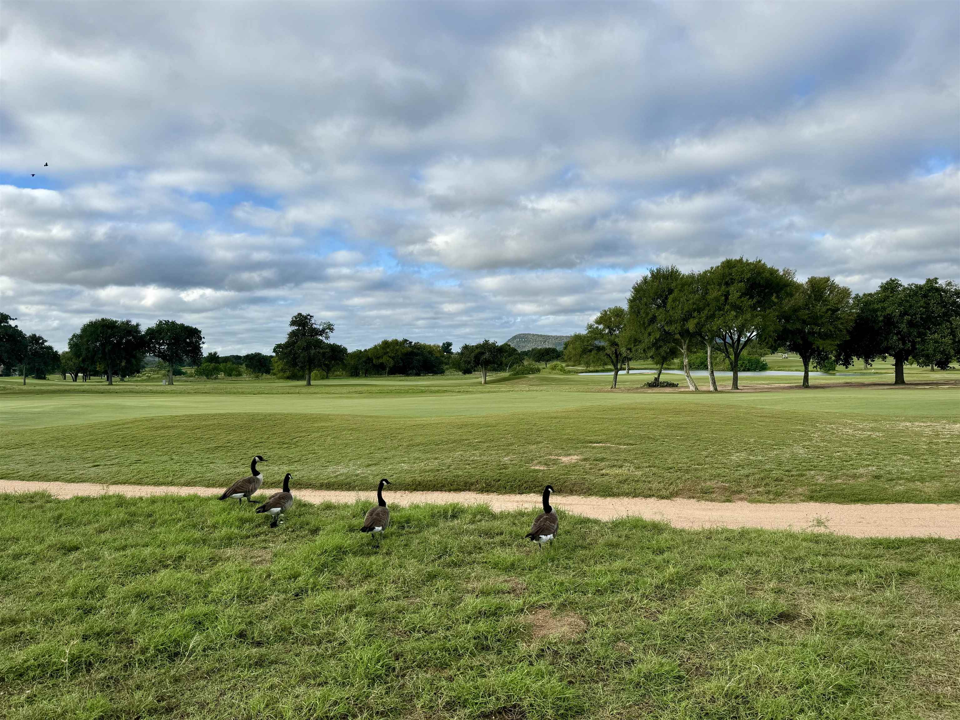 TBD Herons Landing
