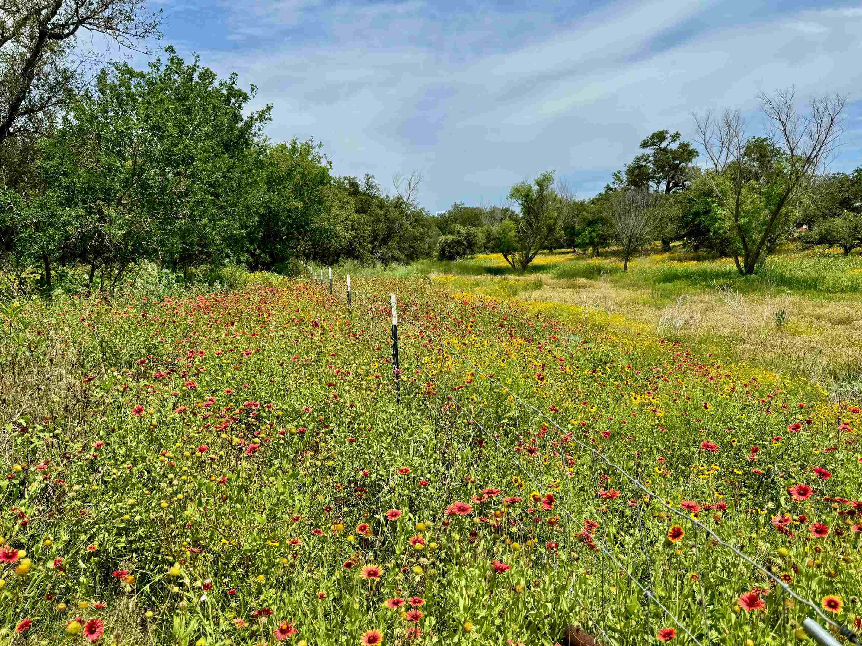 210 County Road 201A