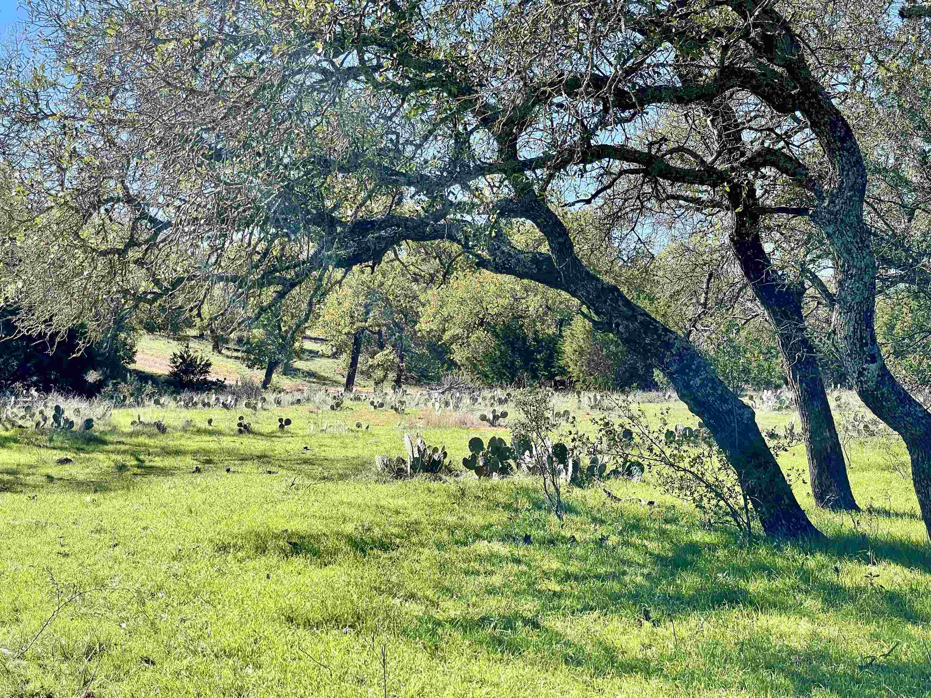 Rocky Hollow Lot 83