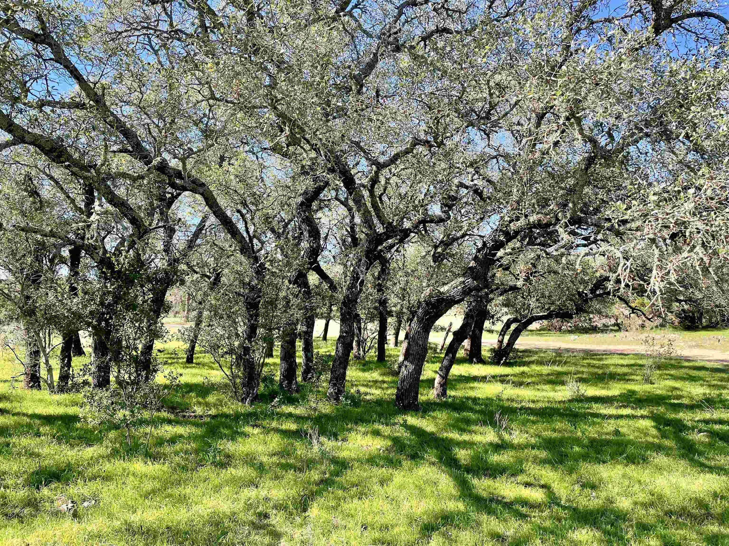 Rocky Hollow Lot 83