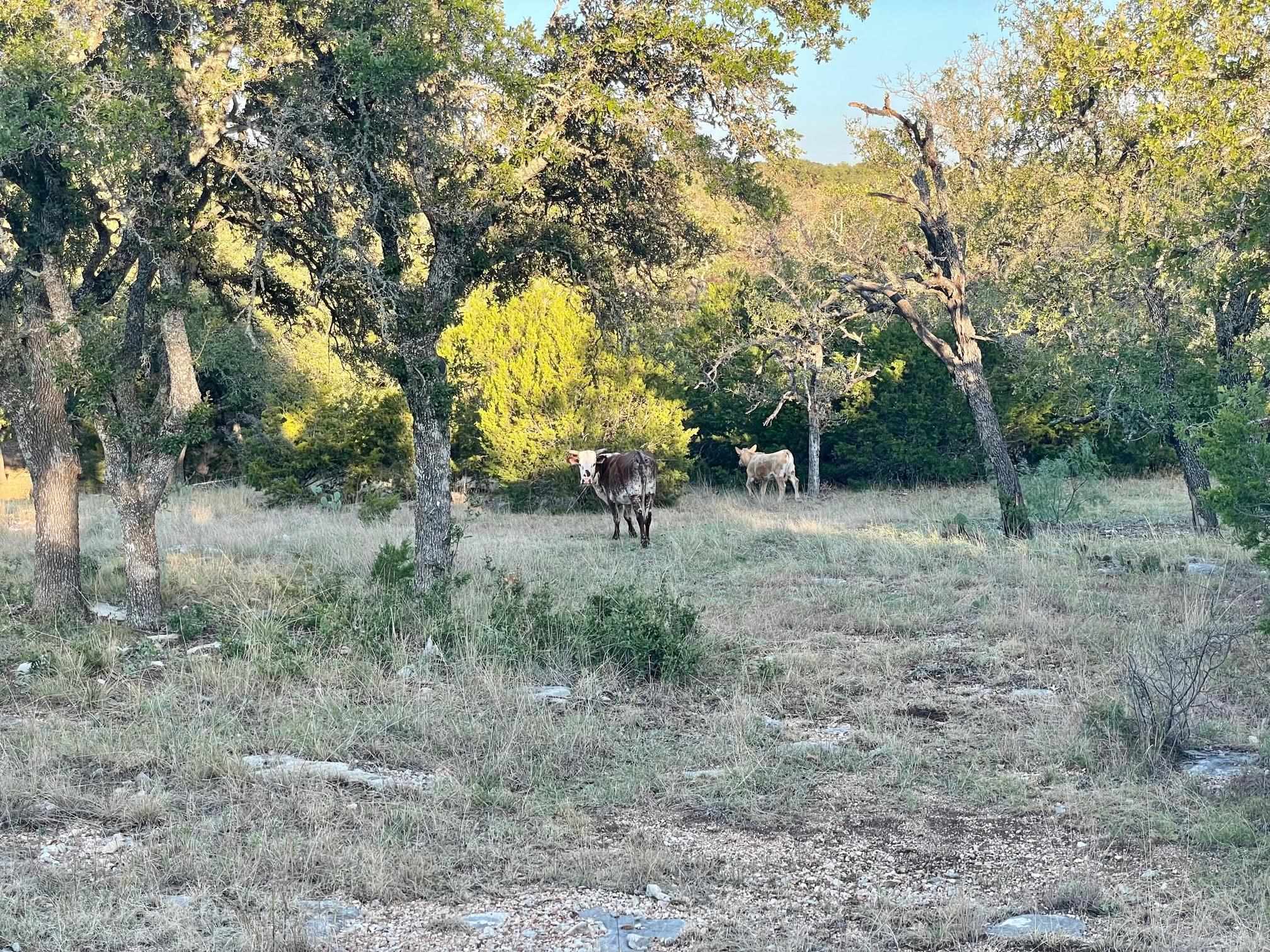 Rocky Hollow Lot 83