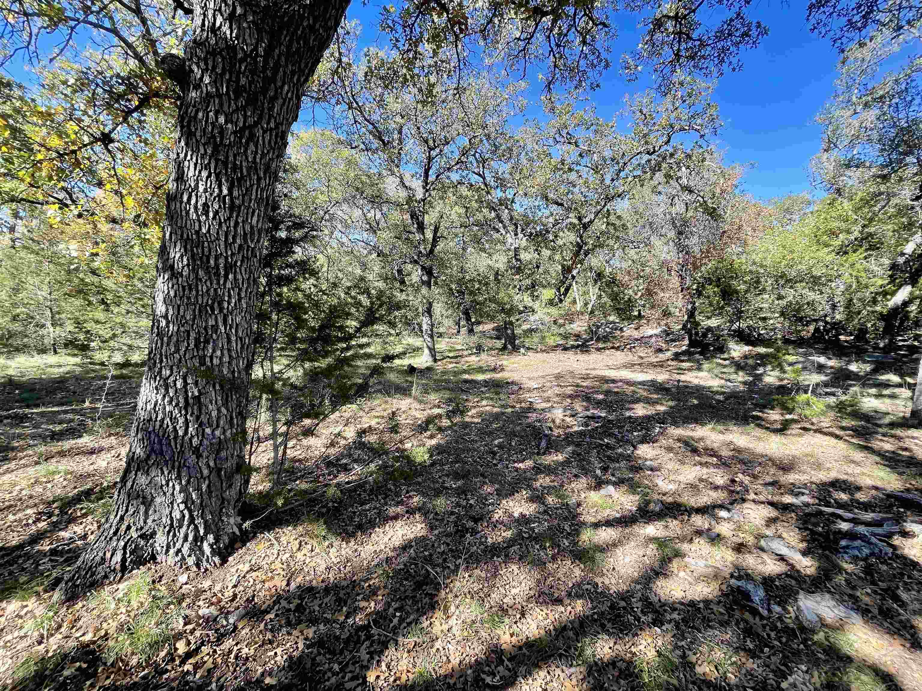 Rocky Hollow Lot 83