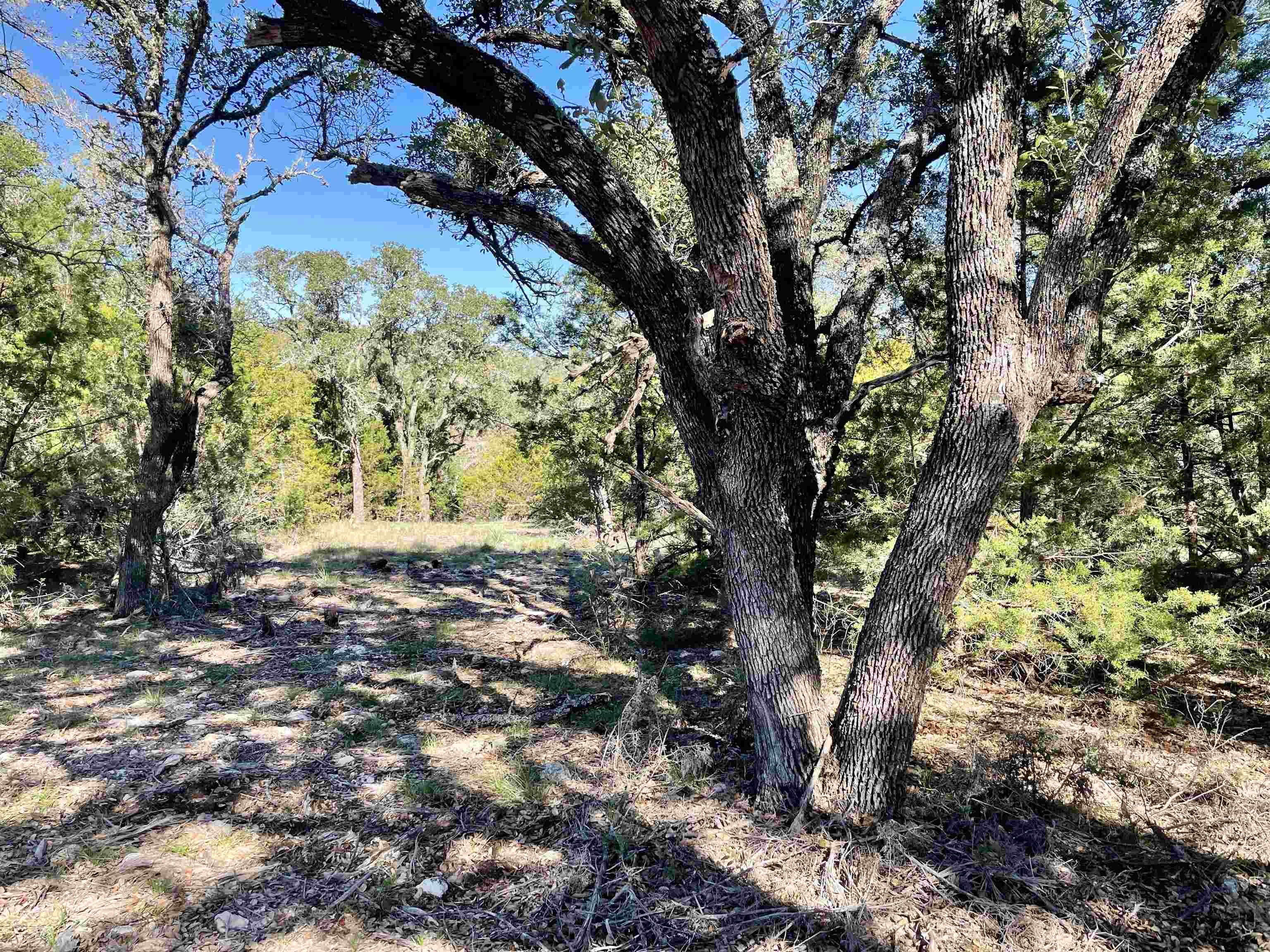 Rocky Hollow Lot 83