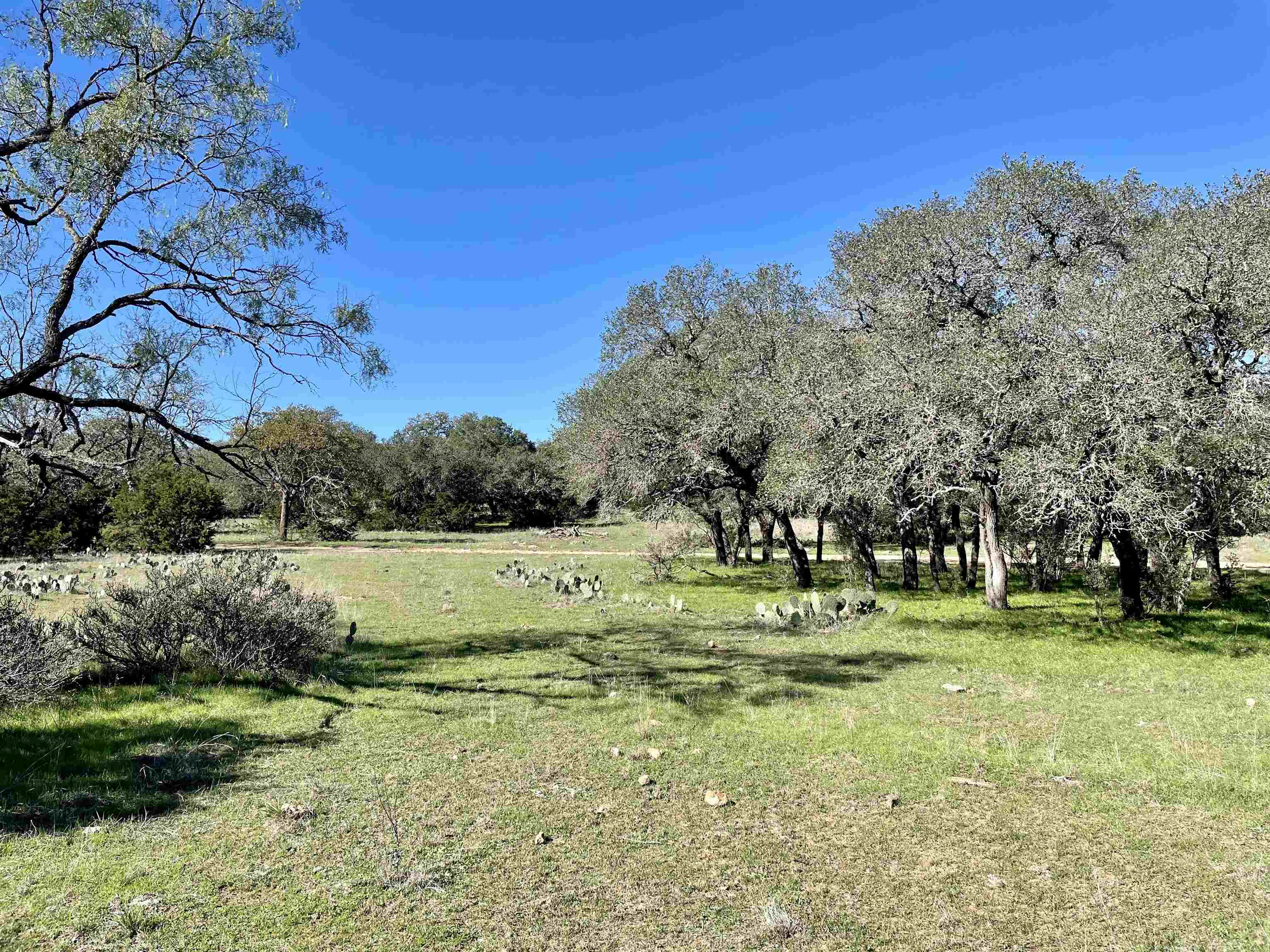 Rocky Hollow Lot 83