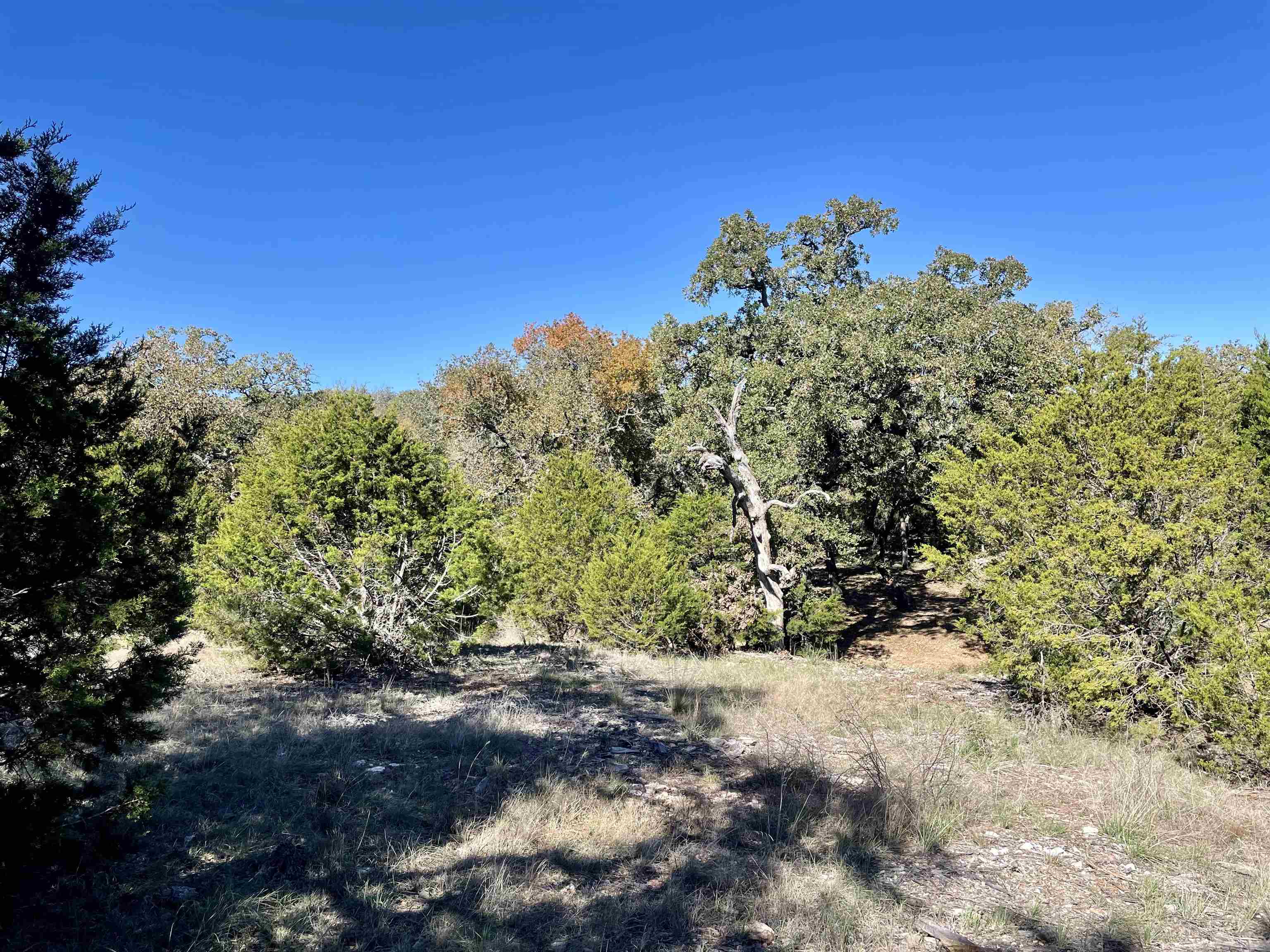 Rocky Hollow Lot 83