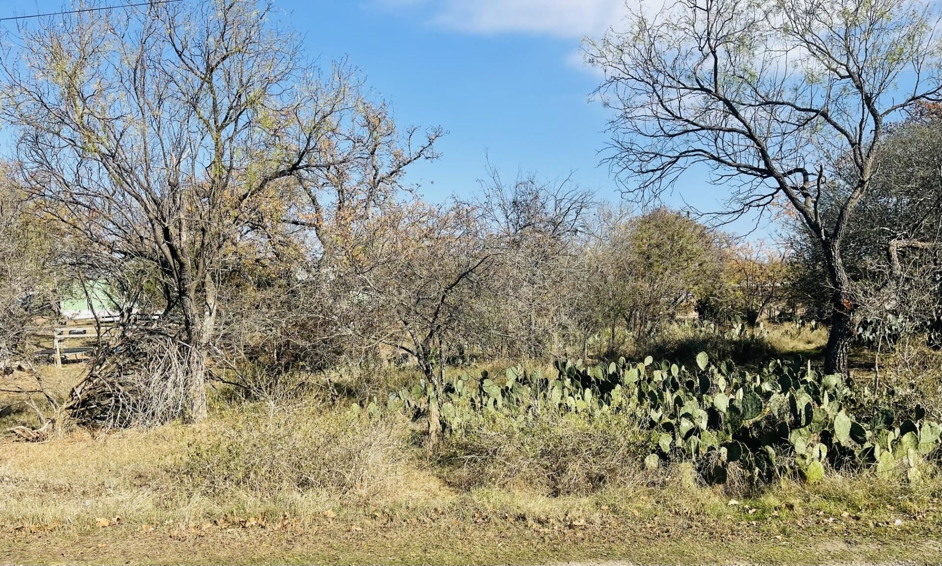 TBD E Sweetbriar Drive