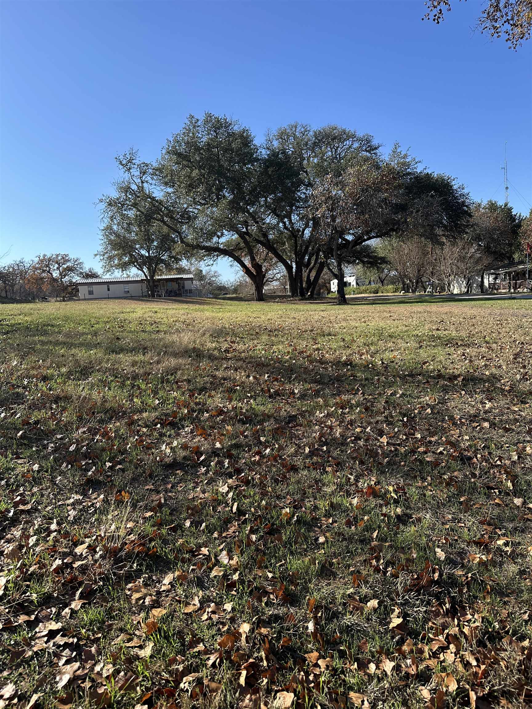 Bunny Lane