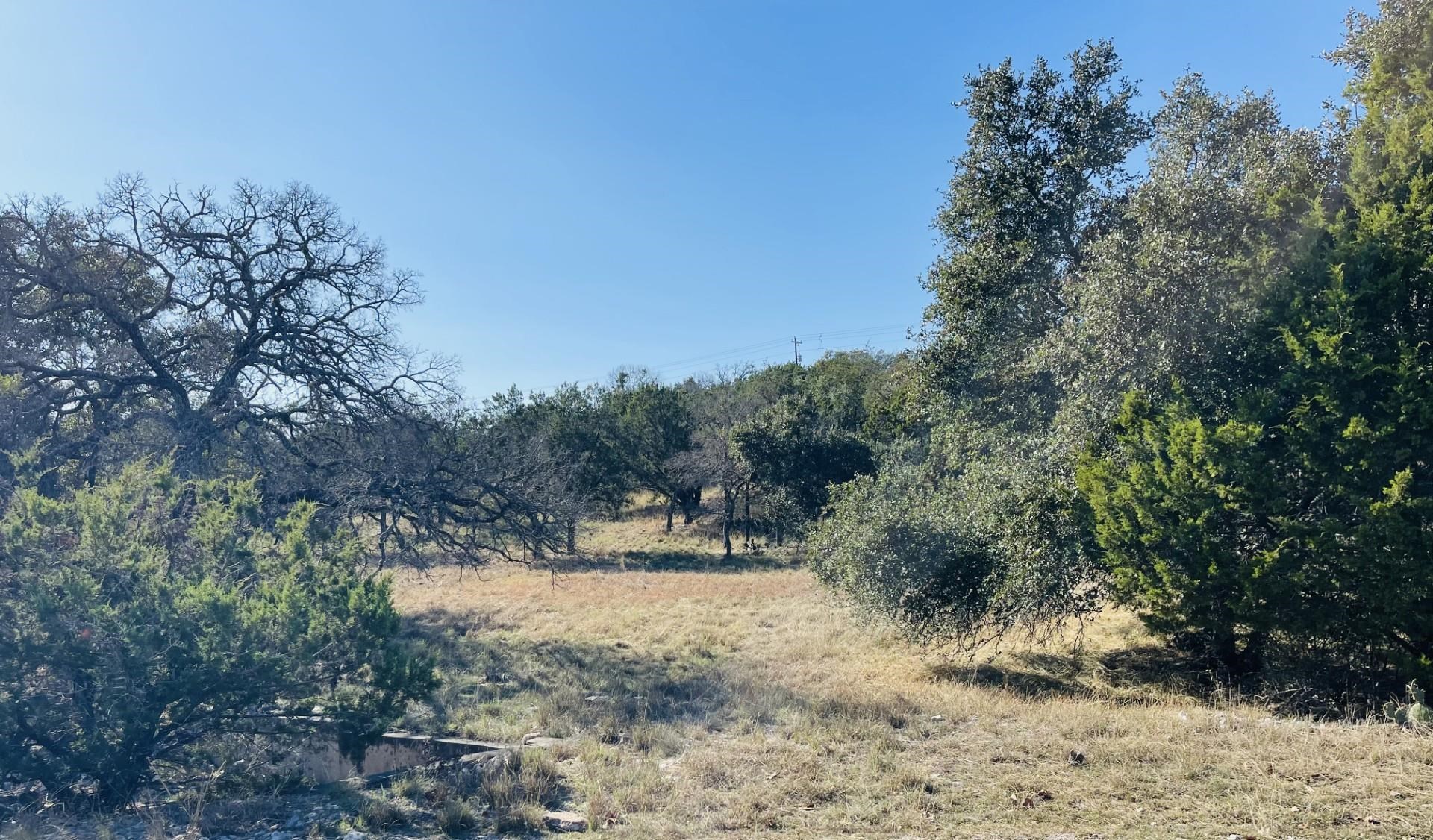 1804 Forest