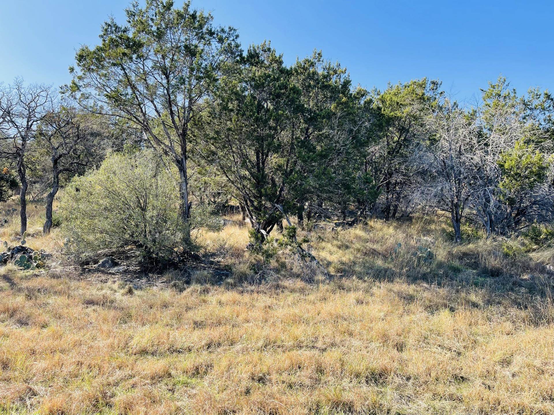1804 Forest