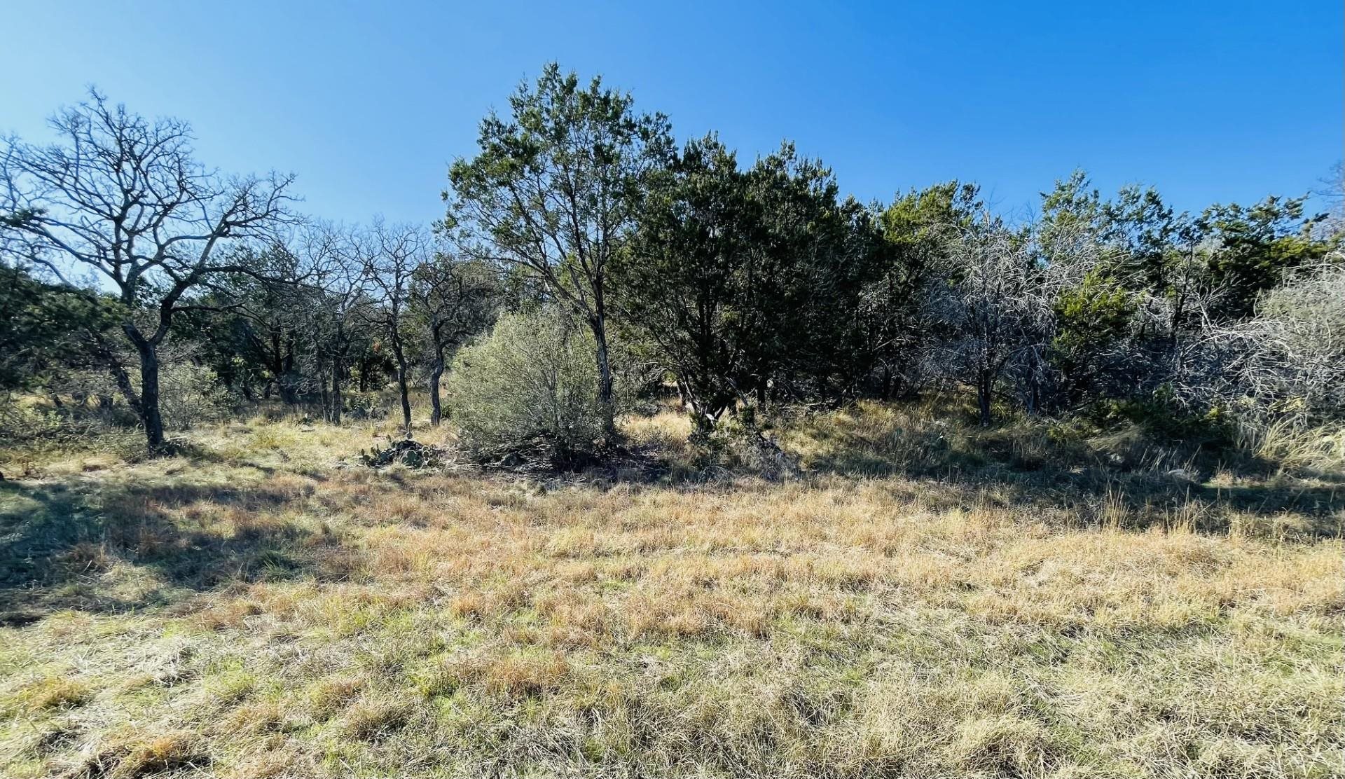 1804 Forest
