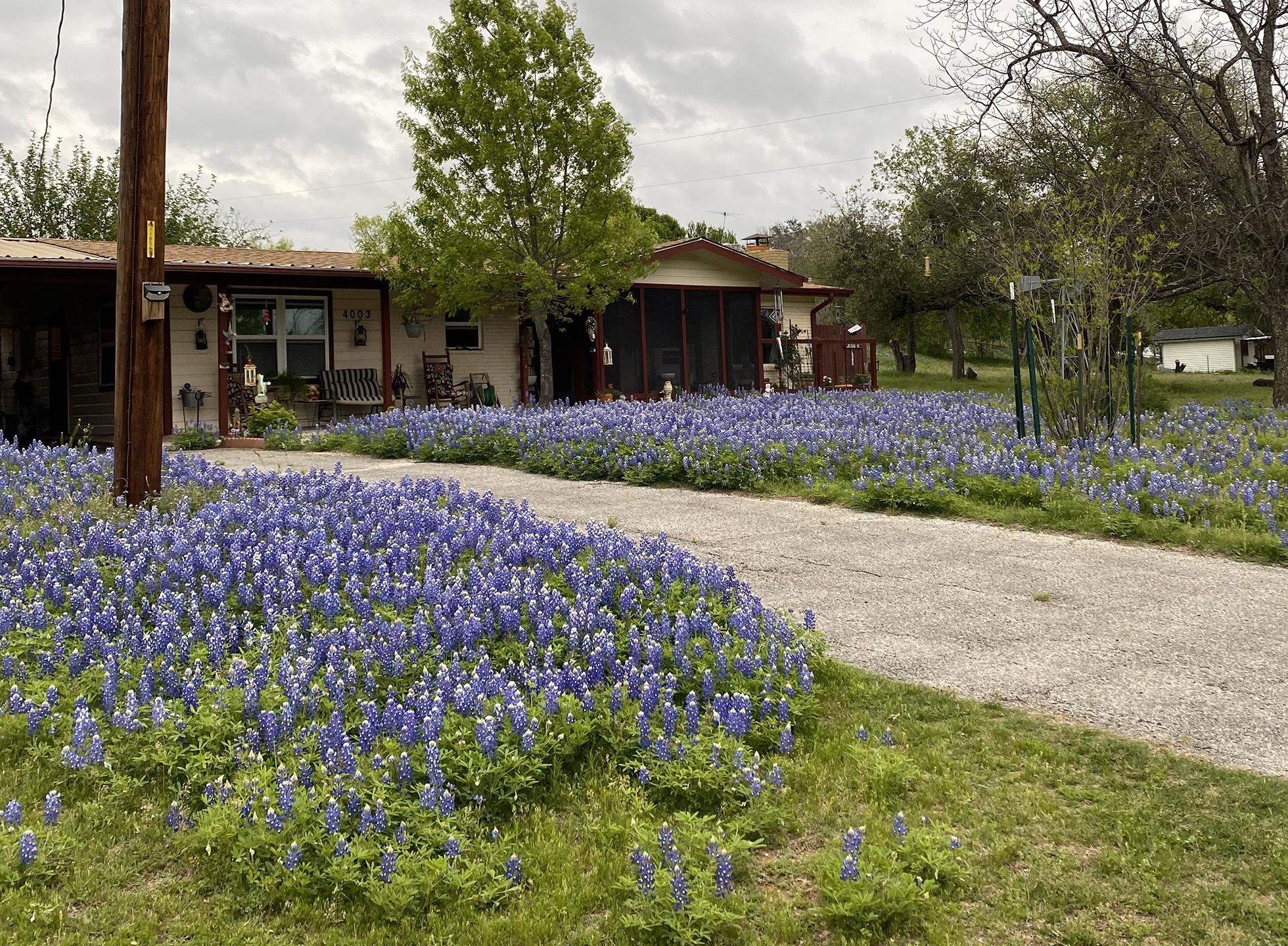 4003 River Oaks Dr.