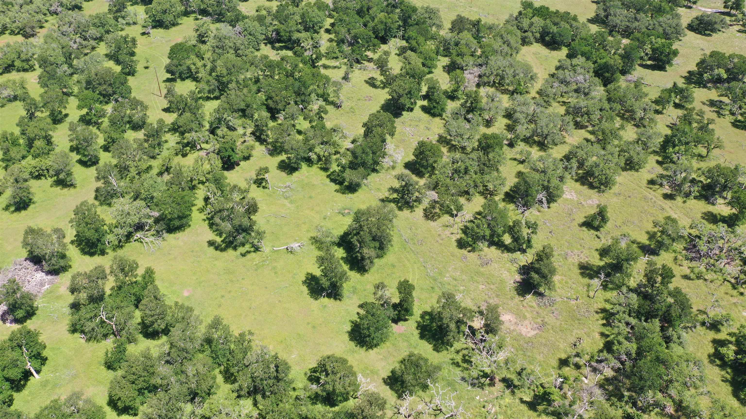 3215 County Road 305