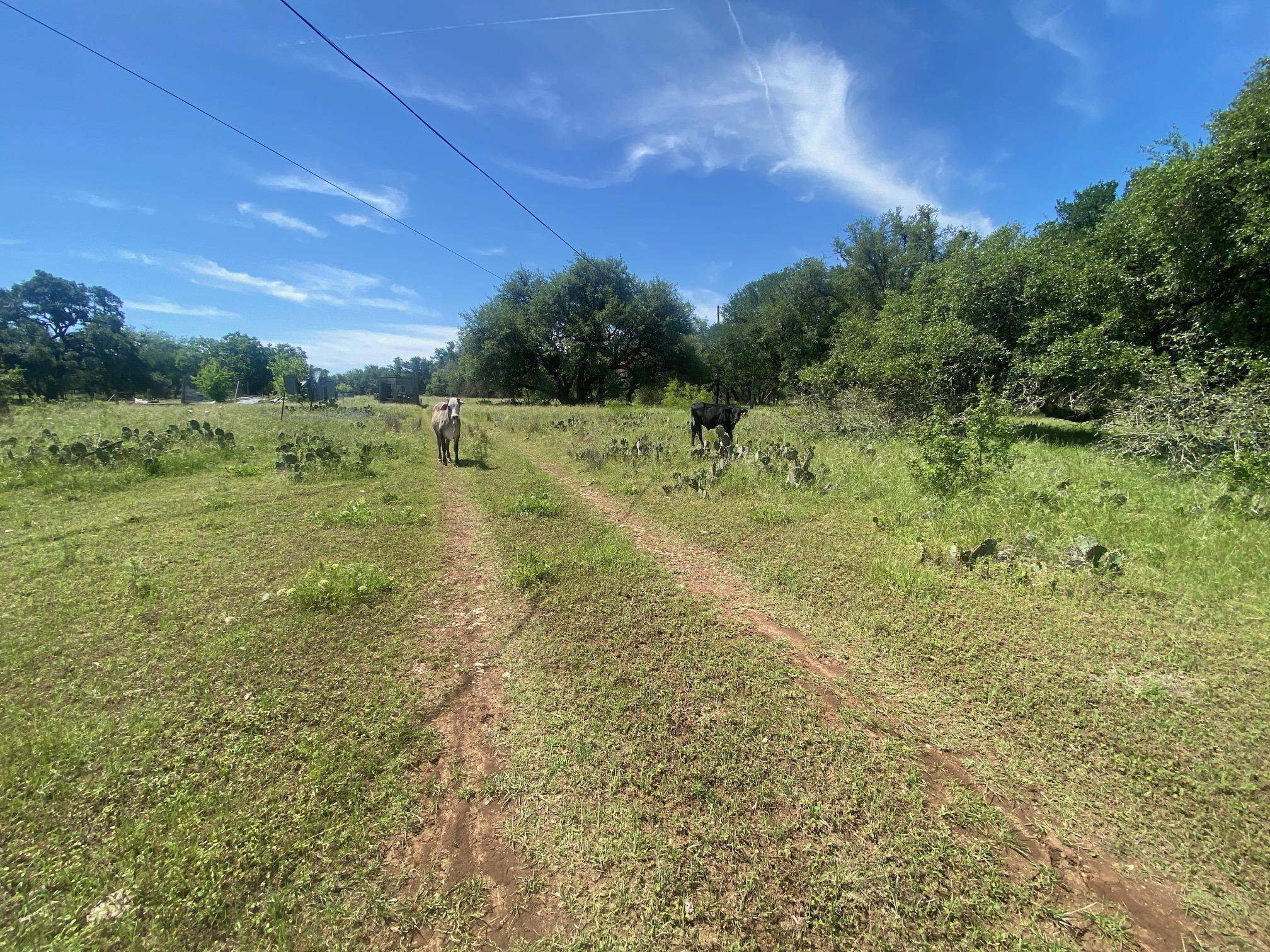 3215 County Road 305