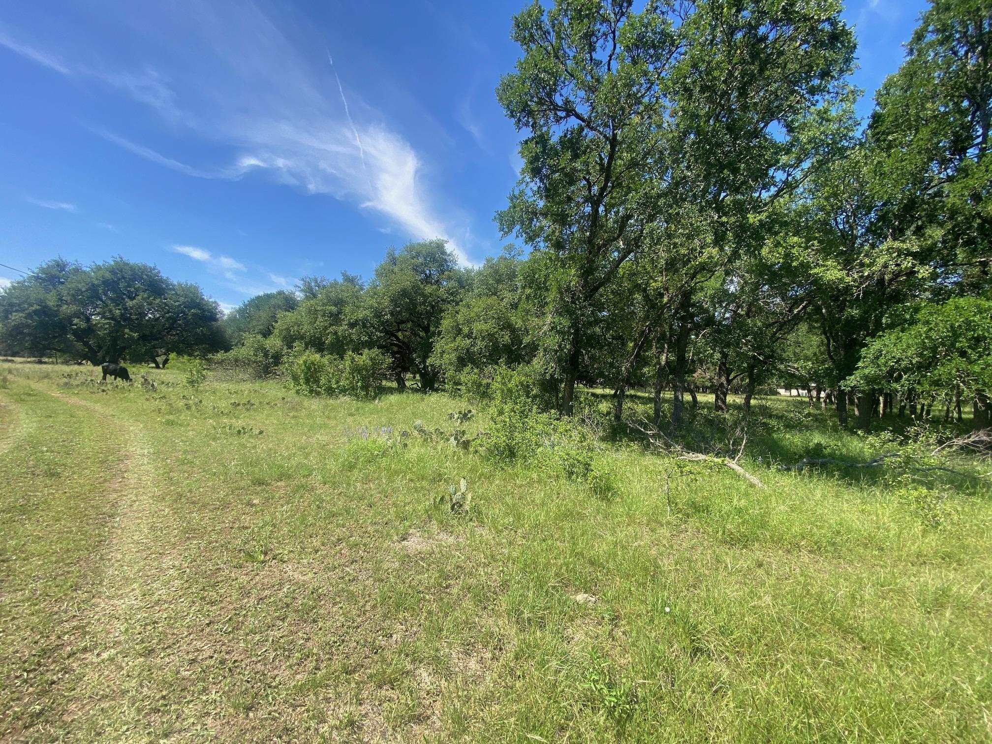 3215 County Road 305