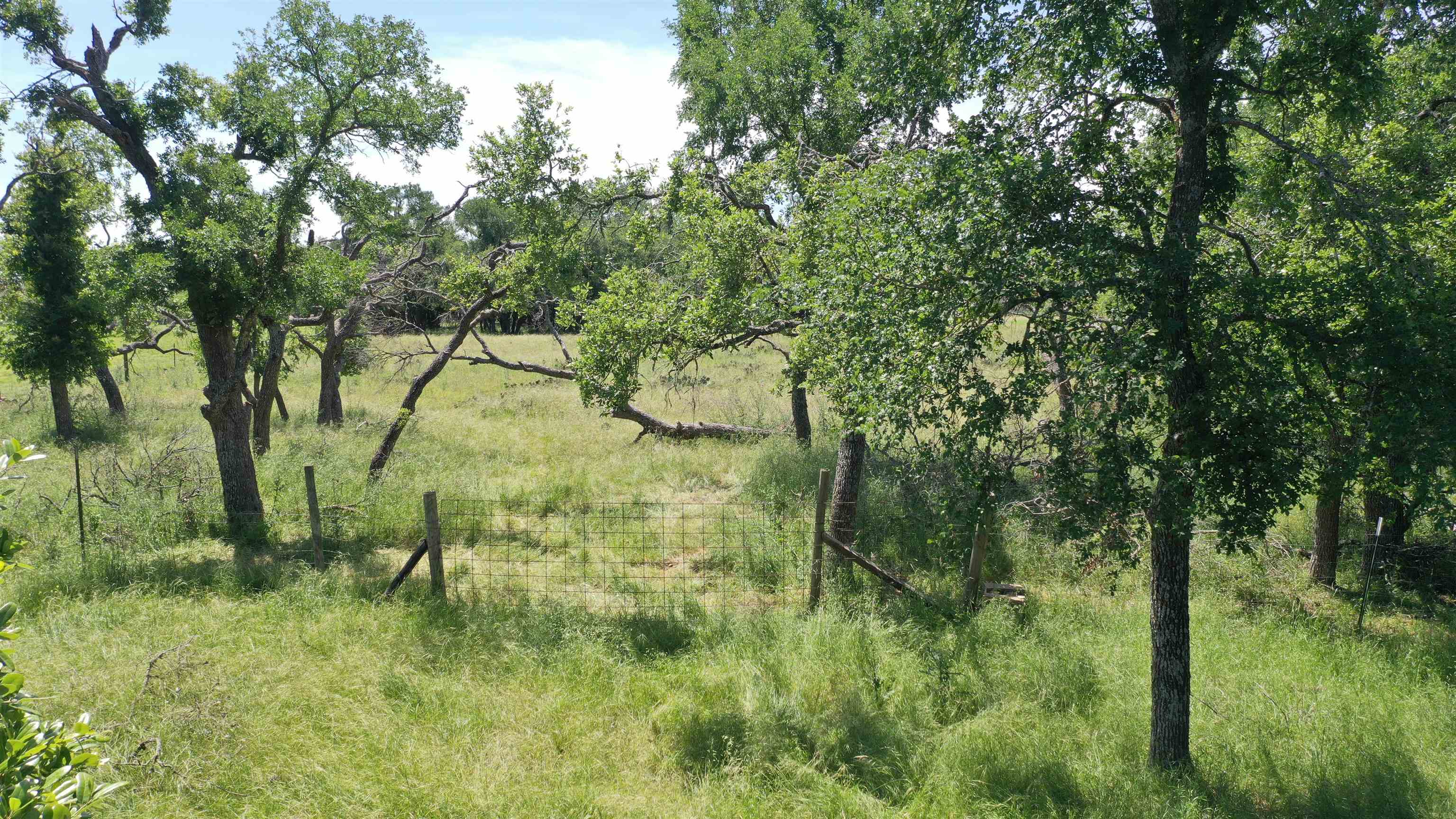 3215 County Road 305