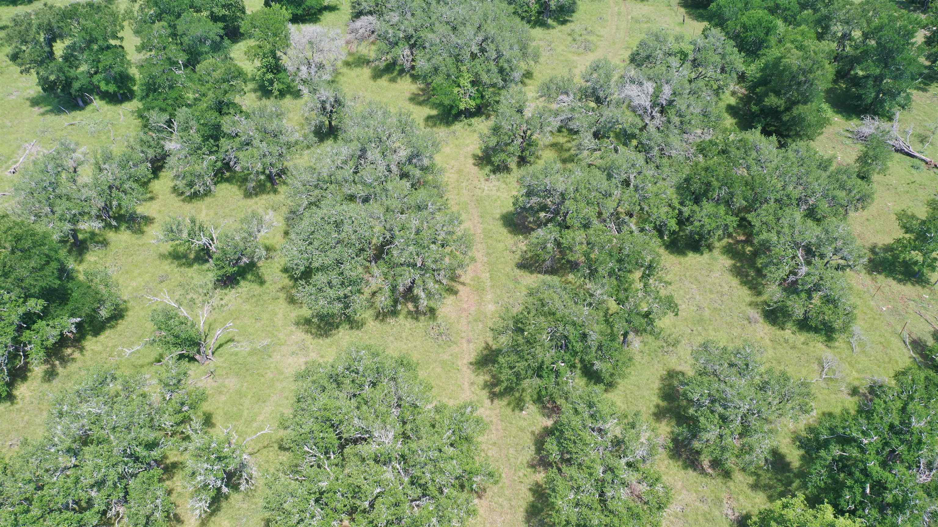 3215 County Road 305